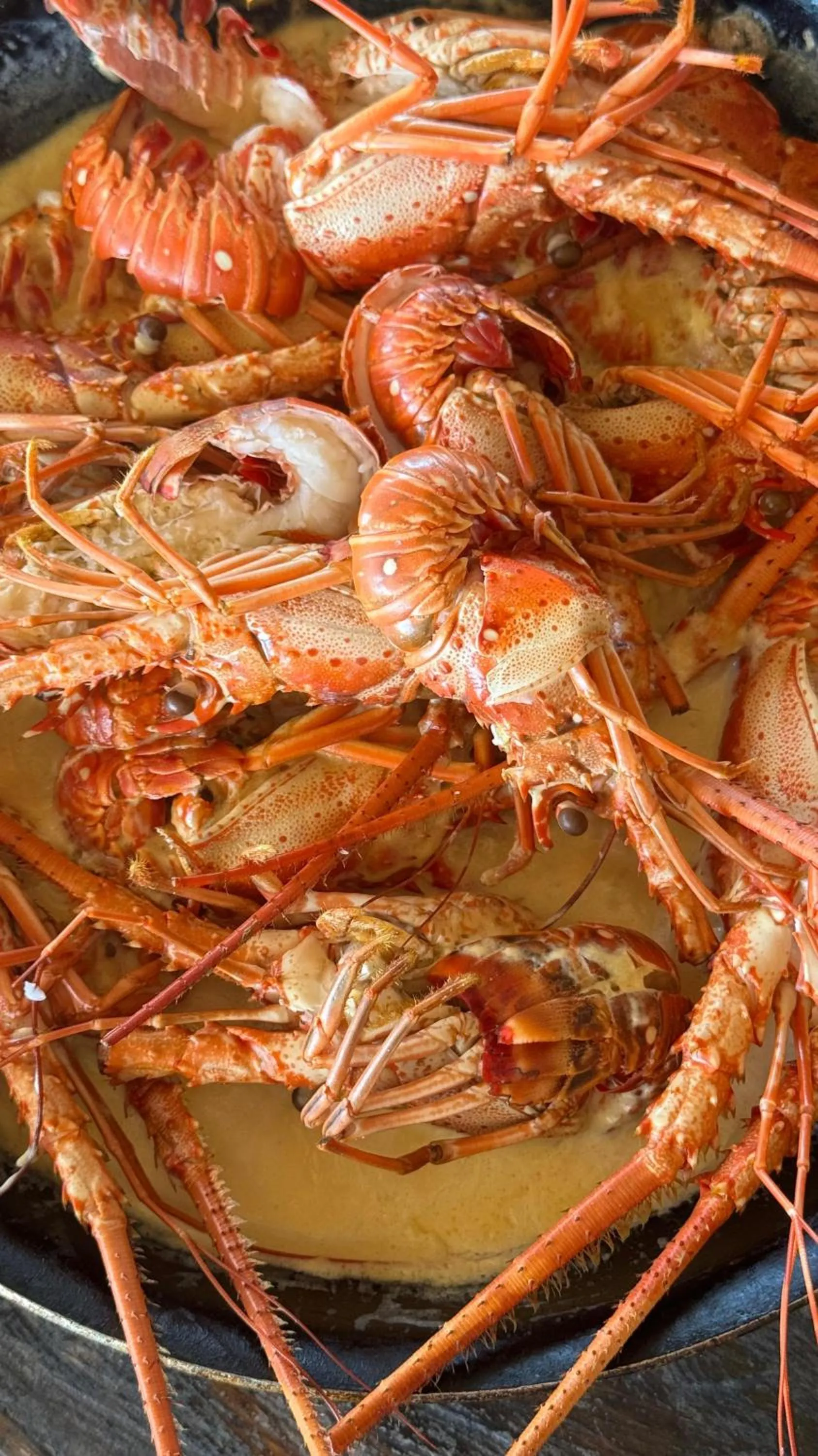 Restaurant/places to eat in El Embrujo Tintipan