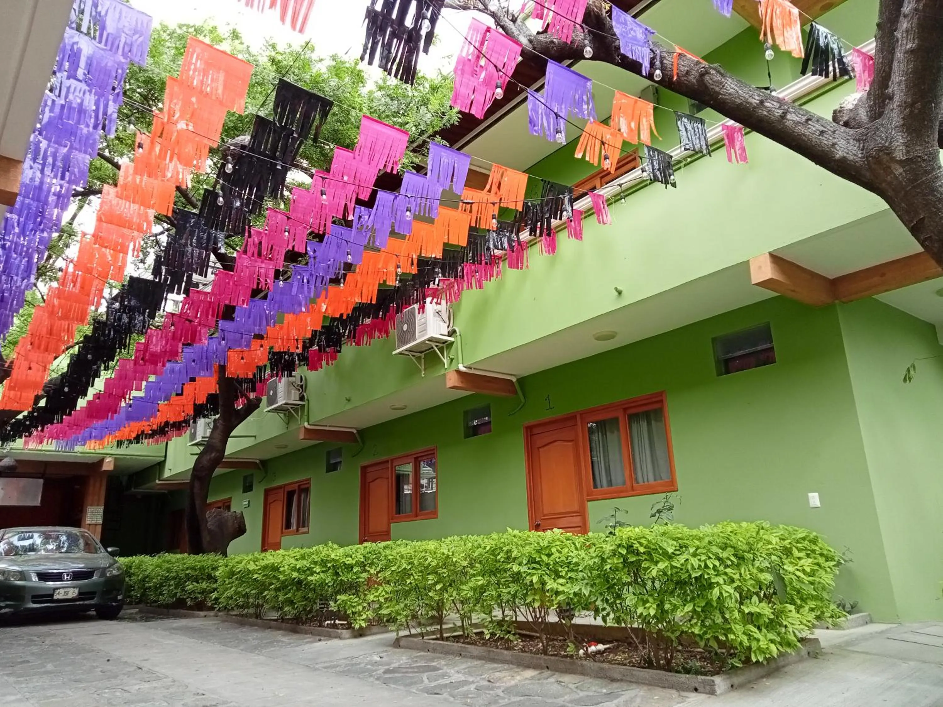 Garden in Los Ciruelos Oaxaca