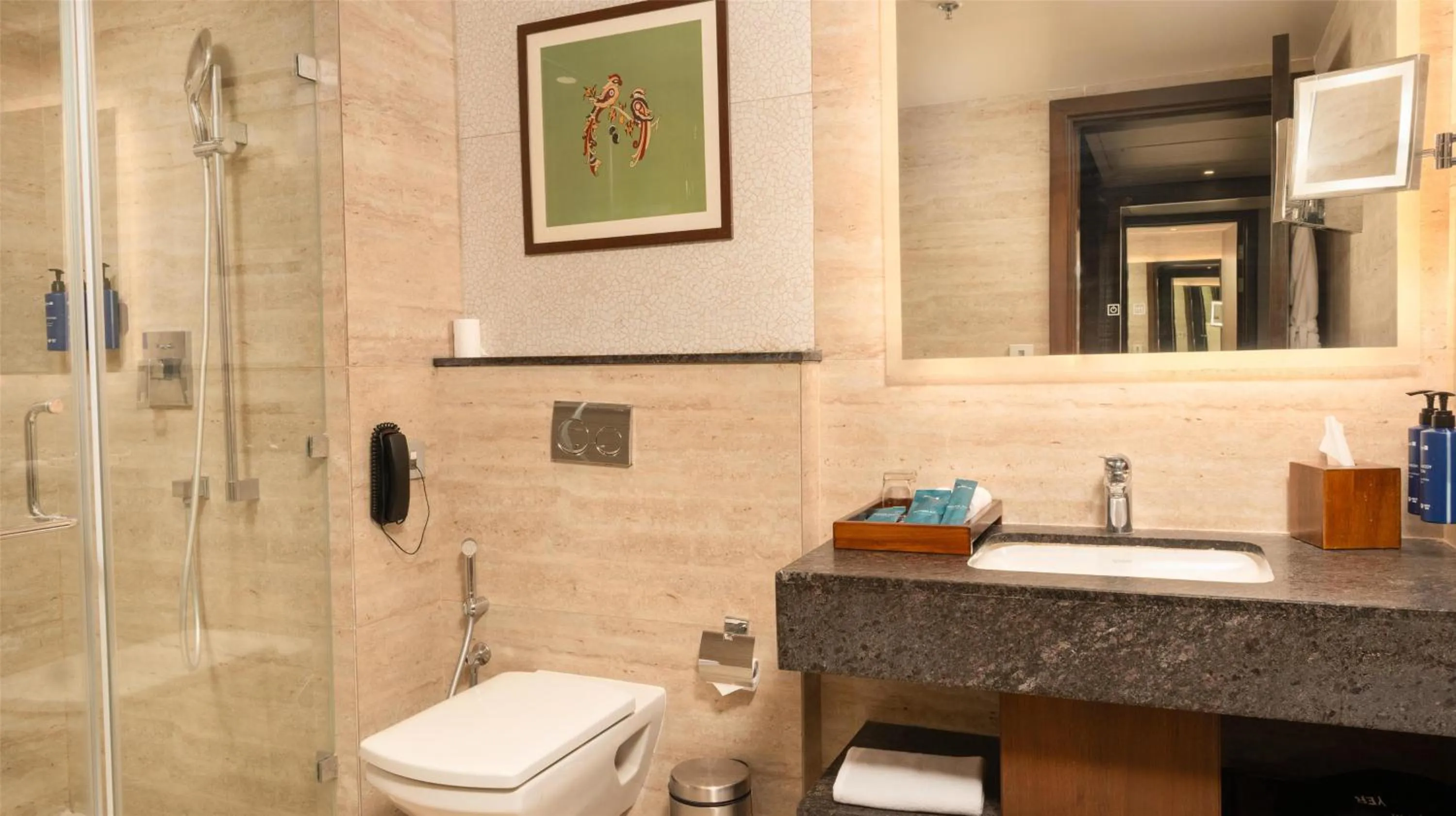 Bathroom in Radisson Blu Resort Visakhapatnam