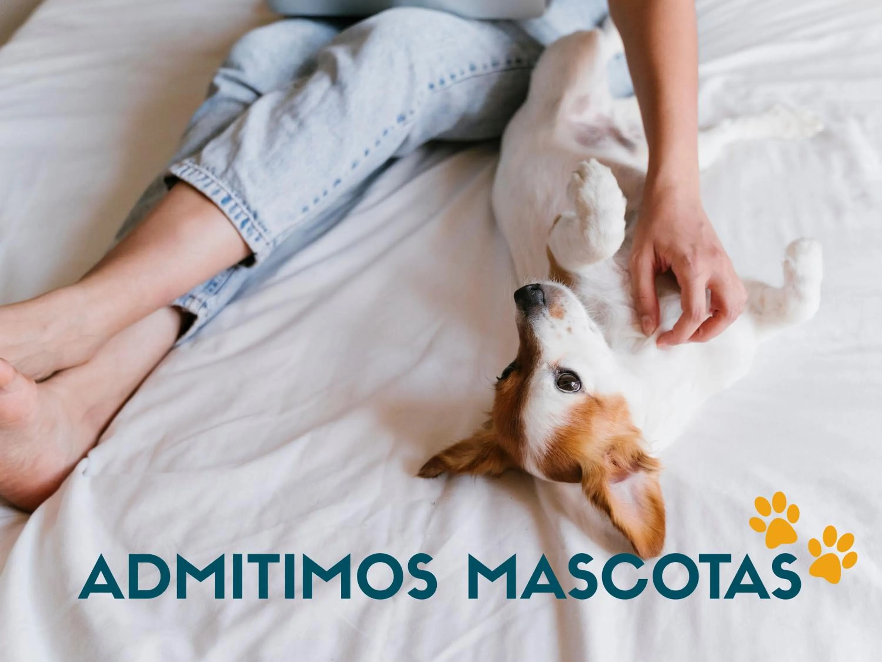 Pets in Apartamentos Santander Maliaño Suites 3000