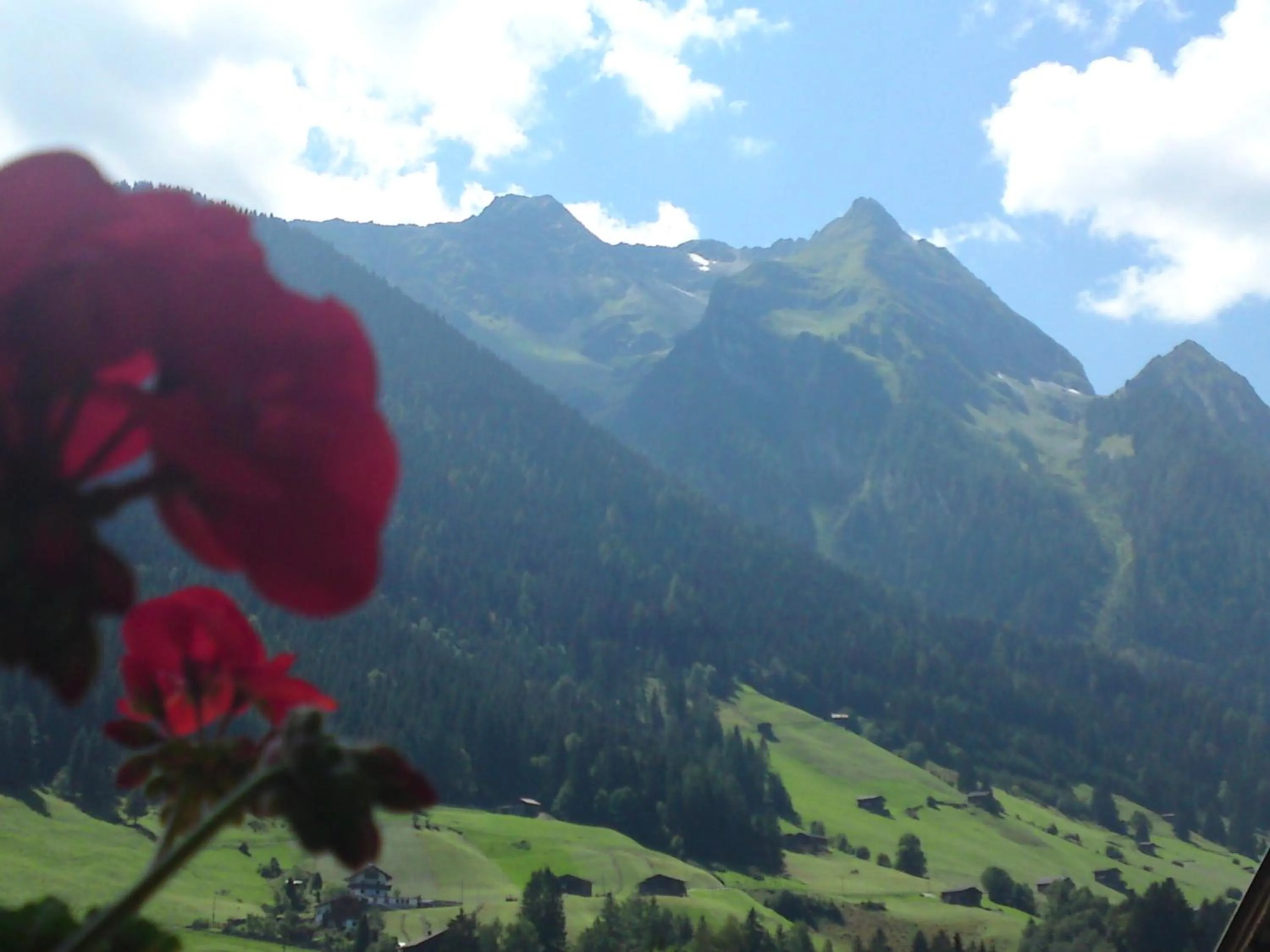 View (from property/room) in Superior Hotel Persal