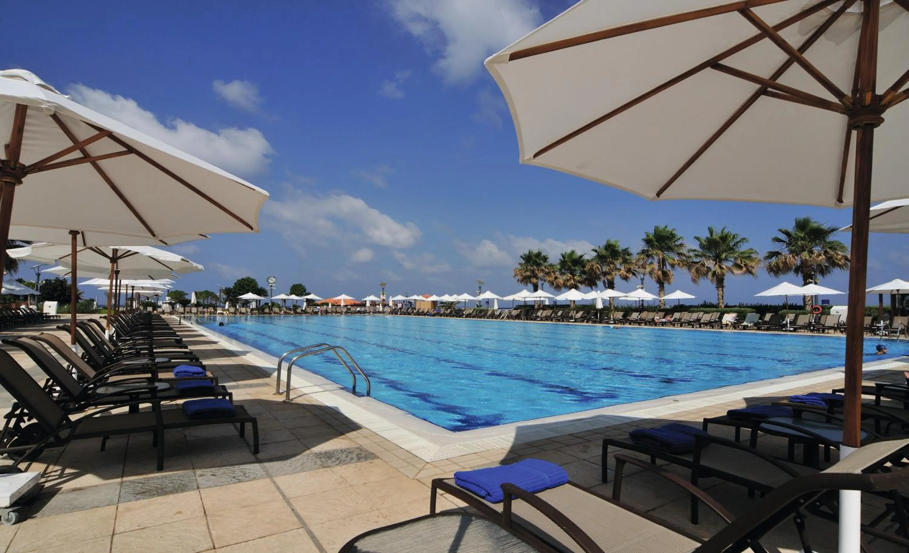 Swimming pool in Mövenpick Hotel Beirut