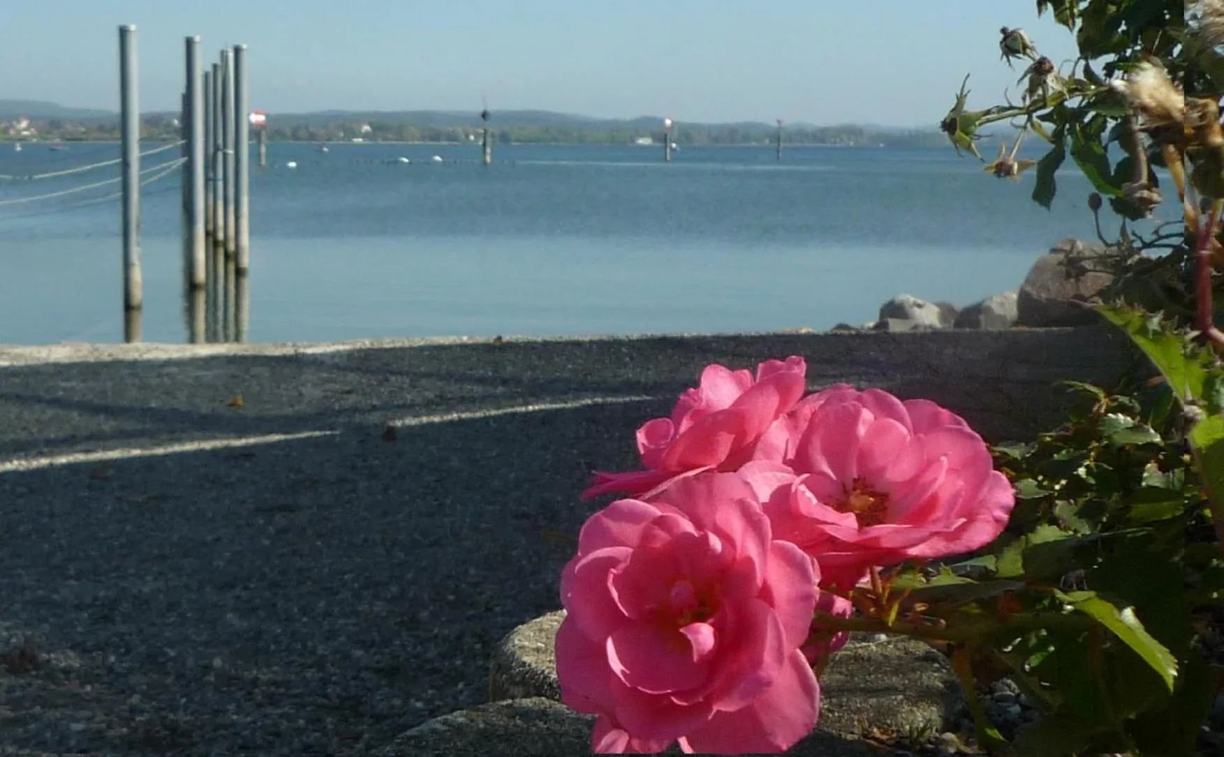 Day in Gasthaus Schiff