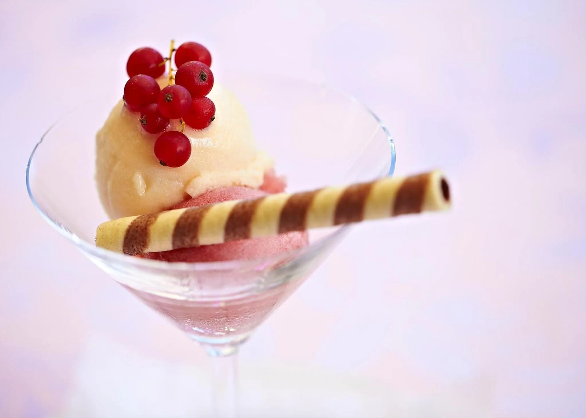 Restaurant/places to eat in Gasthaus Schiff