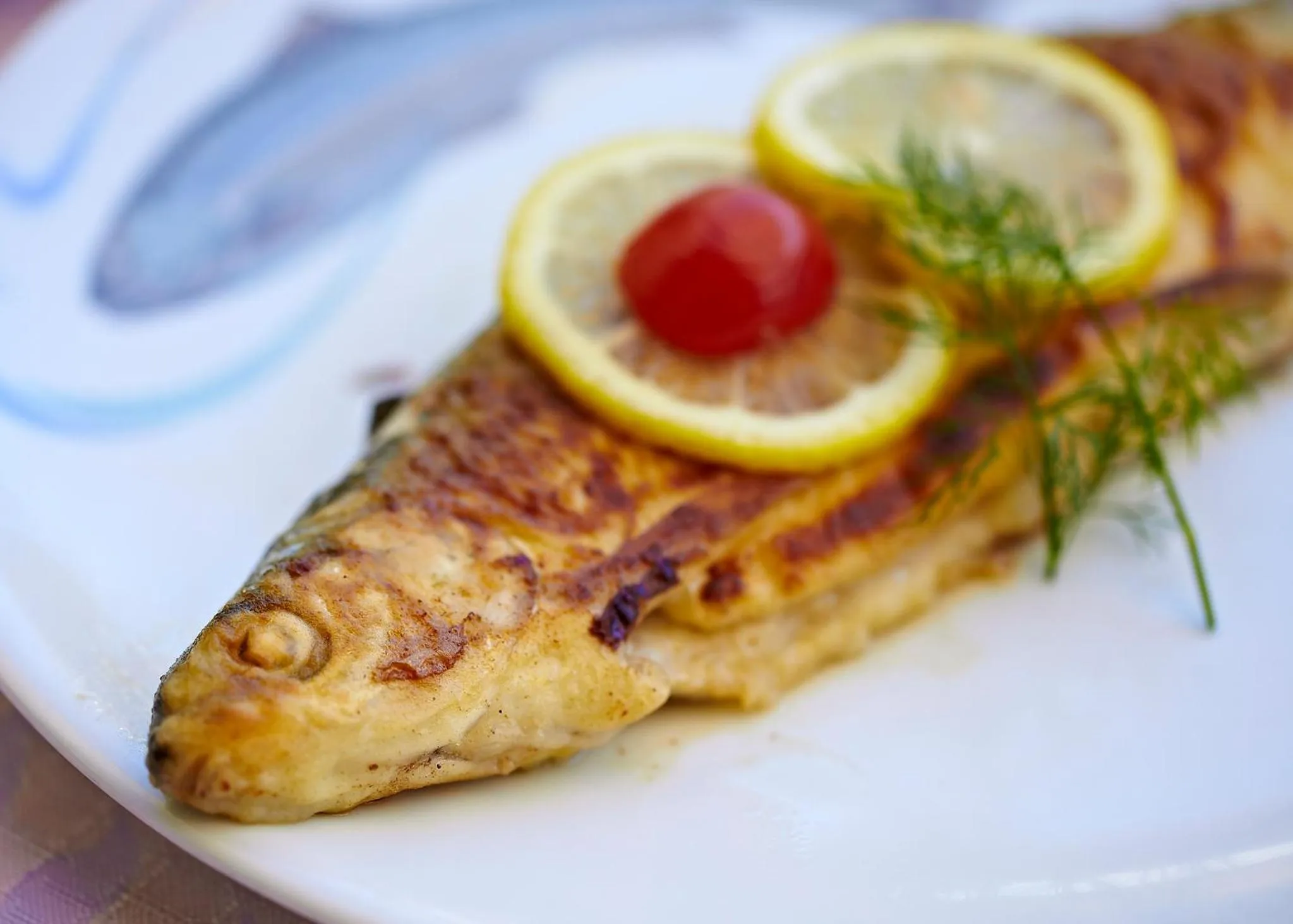 Restaurant/places to eat in Gasthaus Schiff