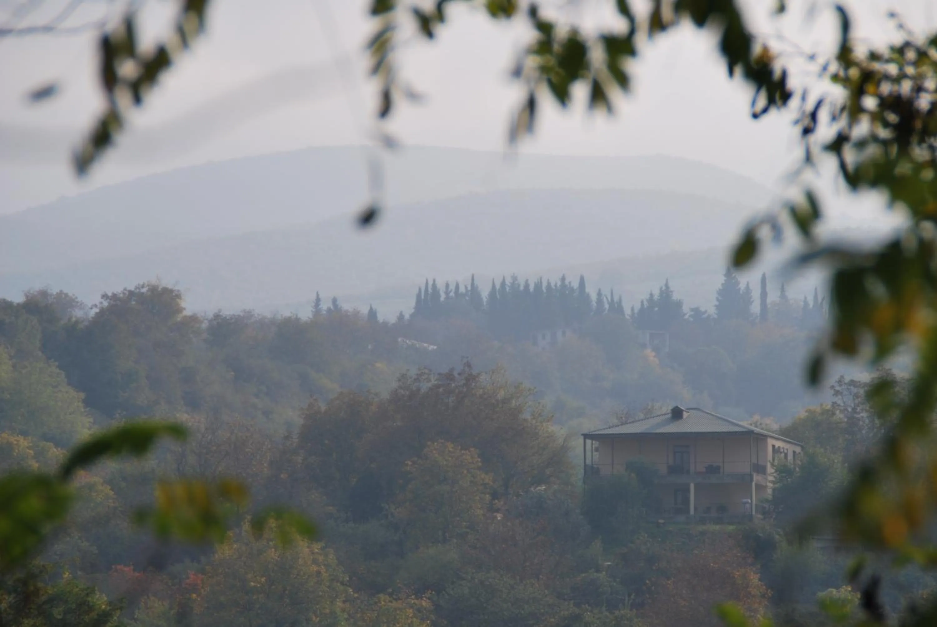 Property building in Shanshe