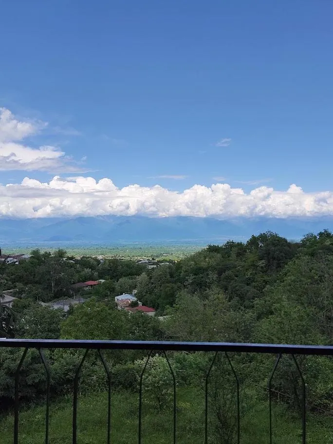 Balcony/Terrace in Shanshe