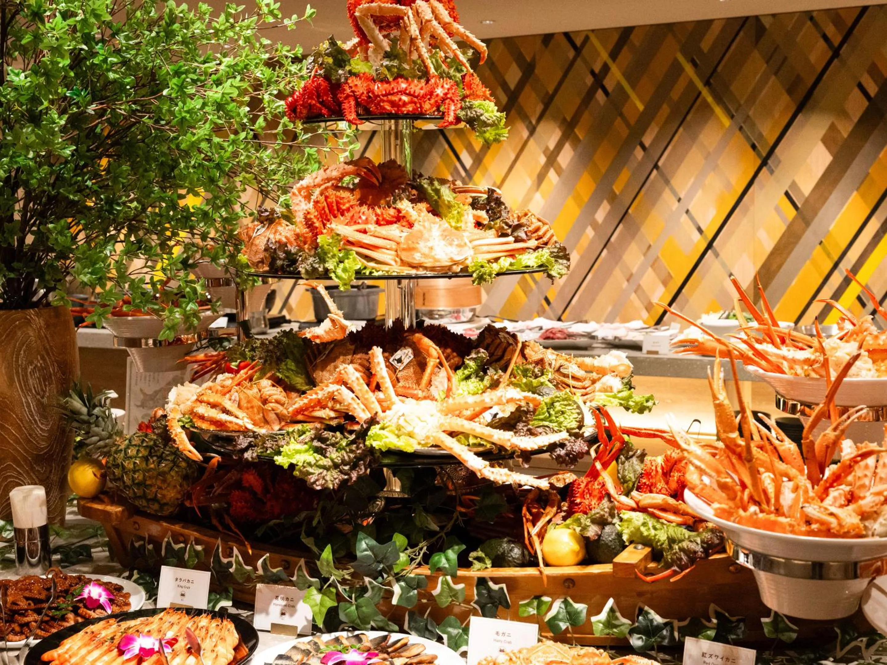 Dinner in Hotel Abest Sapporo