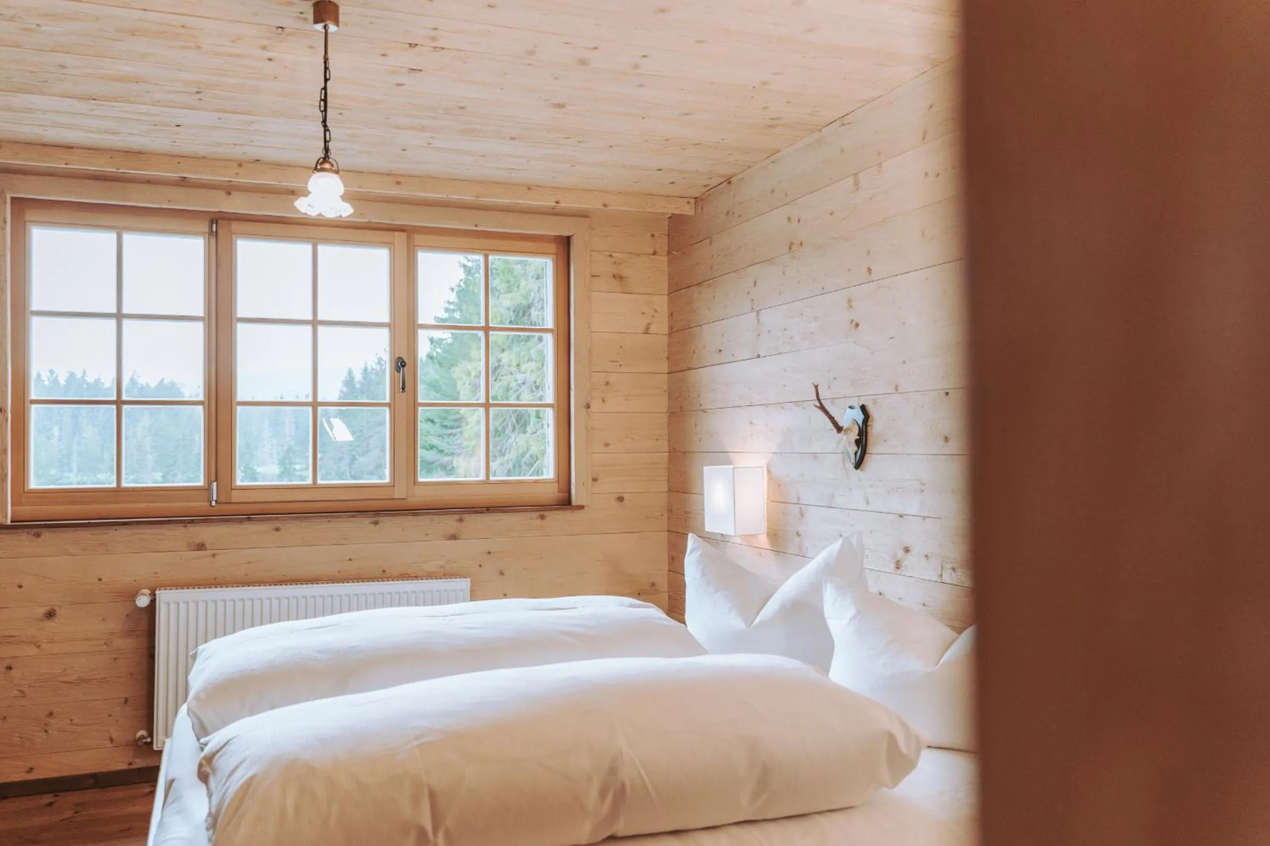 Deluxe Double Room with Balcony - single occupancy in Hotel Am Fichtelsee