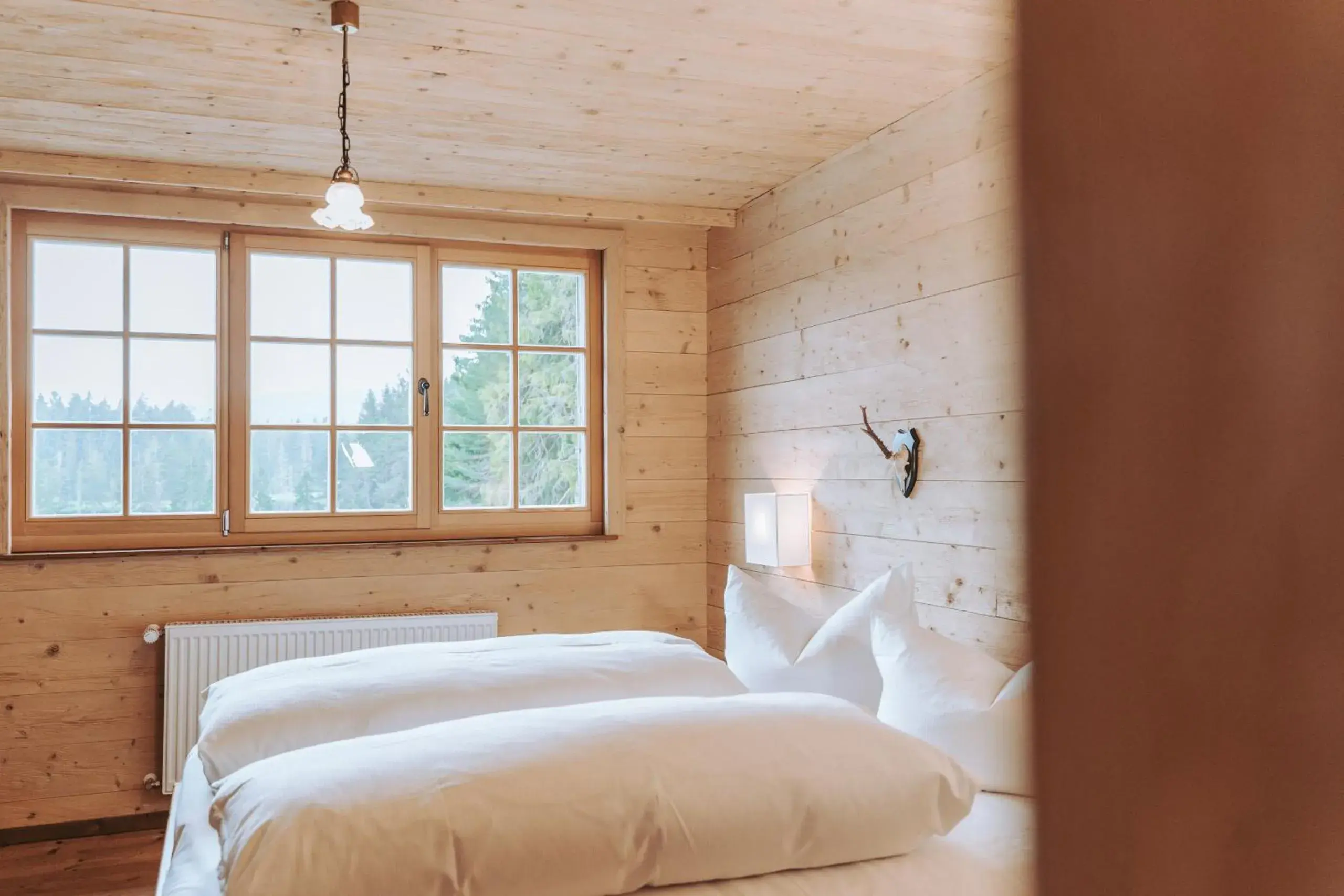 Deluxe Double Room with Balcony - single occupancy in Hotel Am Fichtelsee Deluxe Double Room with Balcony - single occupancy in Hotel Am Fichtelsee