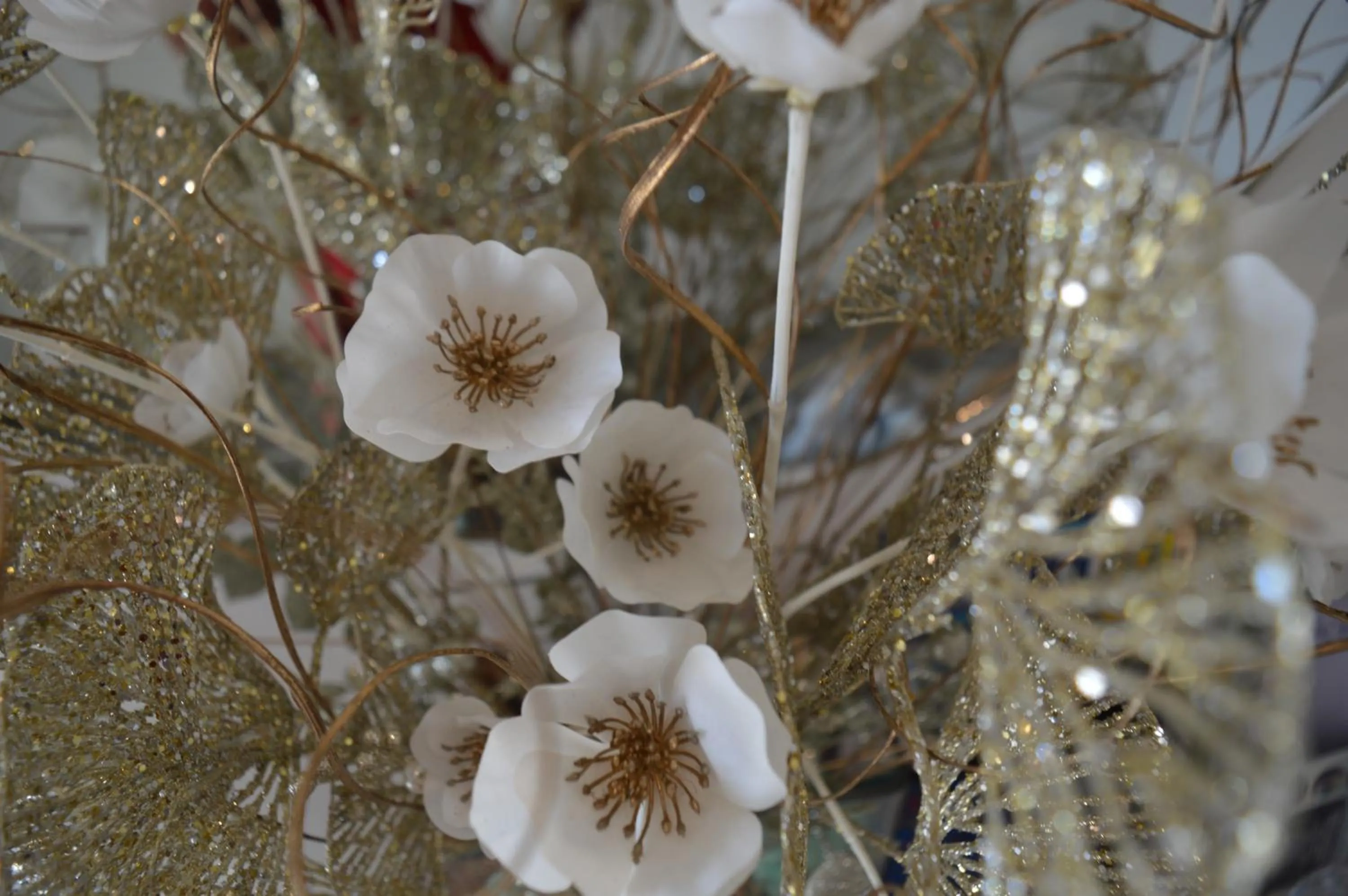 Bed and breakfast Villa Tota