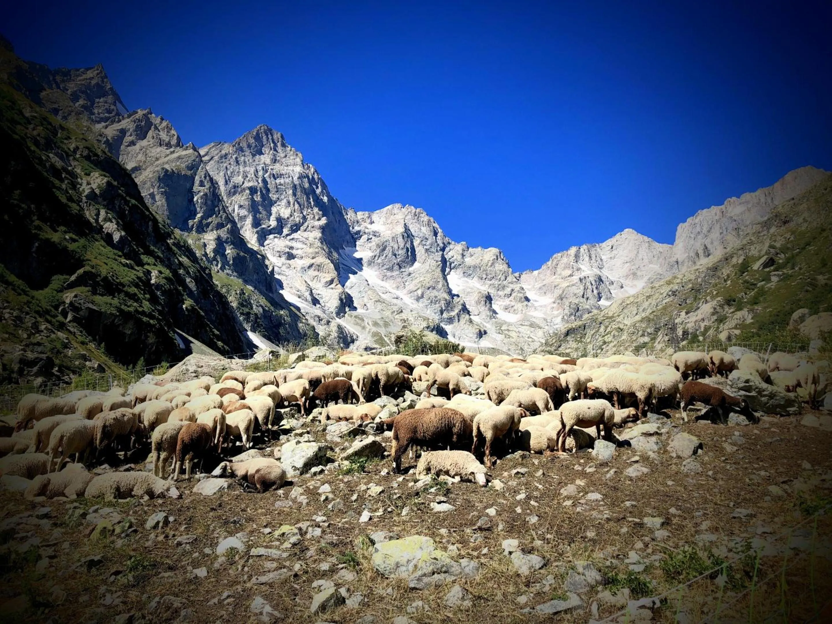 Neighbourhood in Auberge Saint Antoine