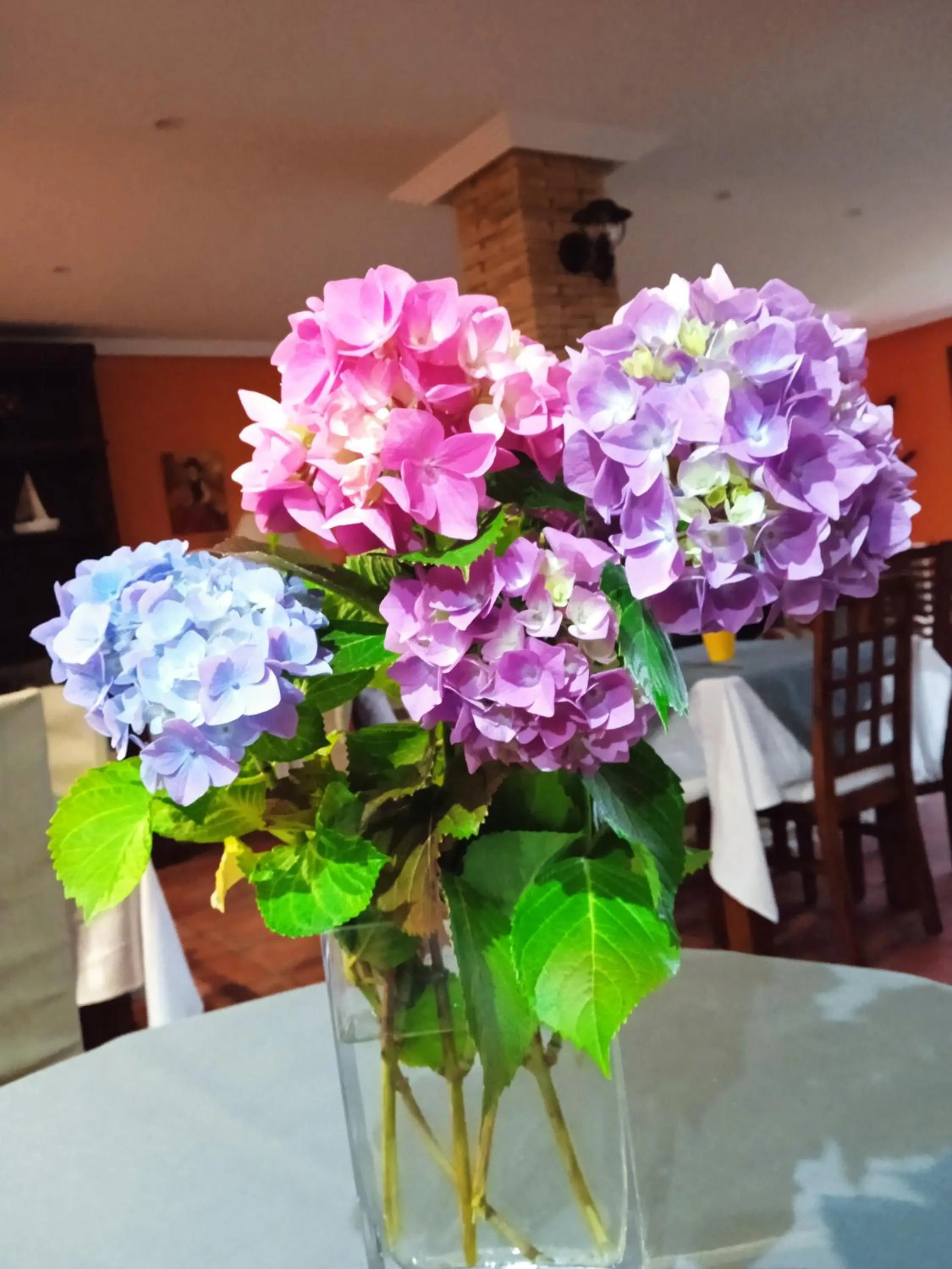 Dining area in Hotel Rural Montesomao