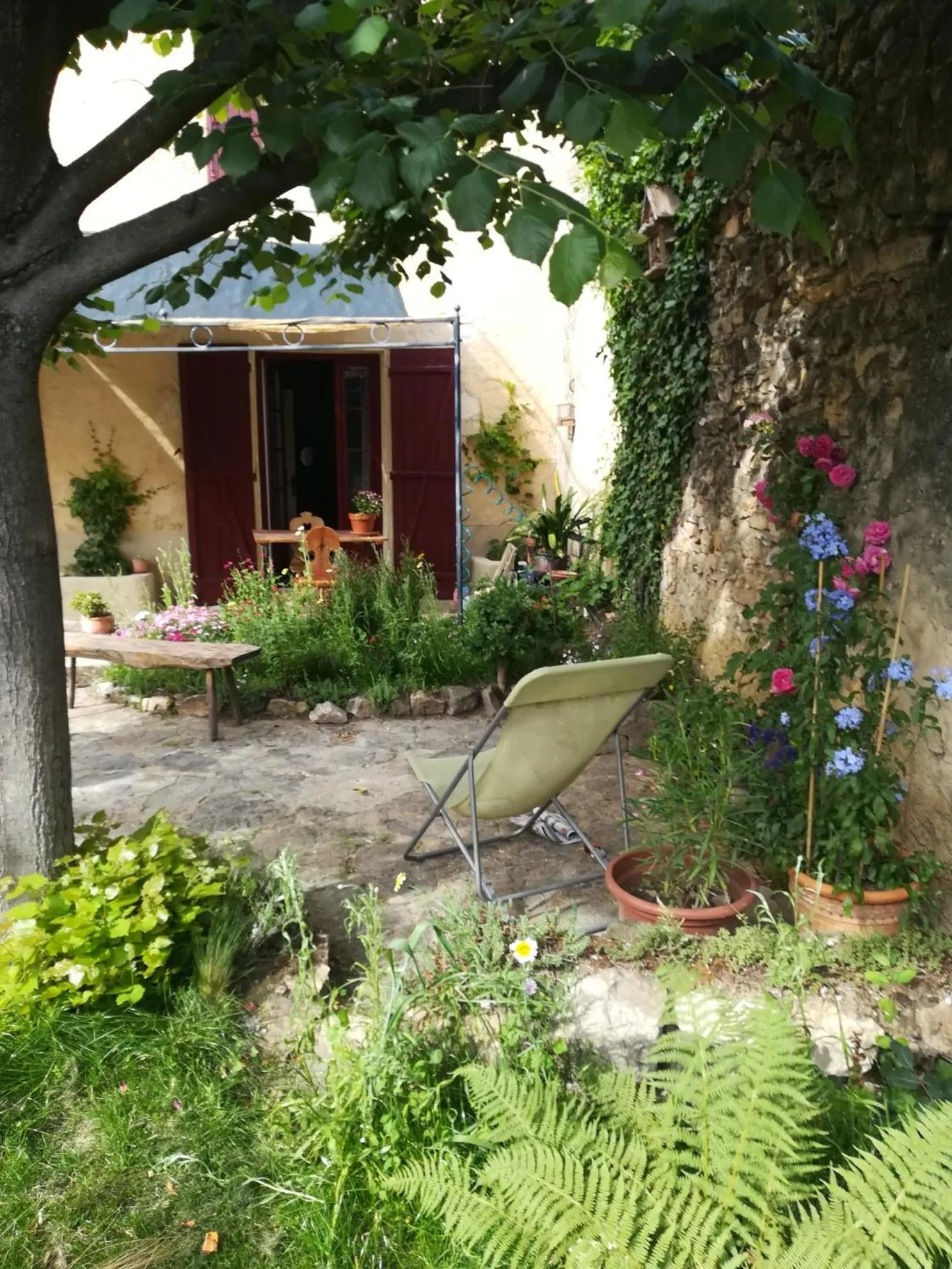 Garden in Mas d'Antan