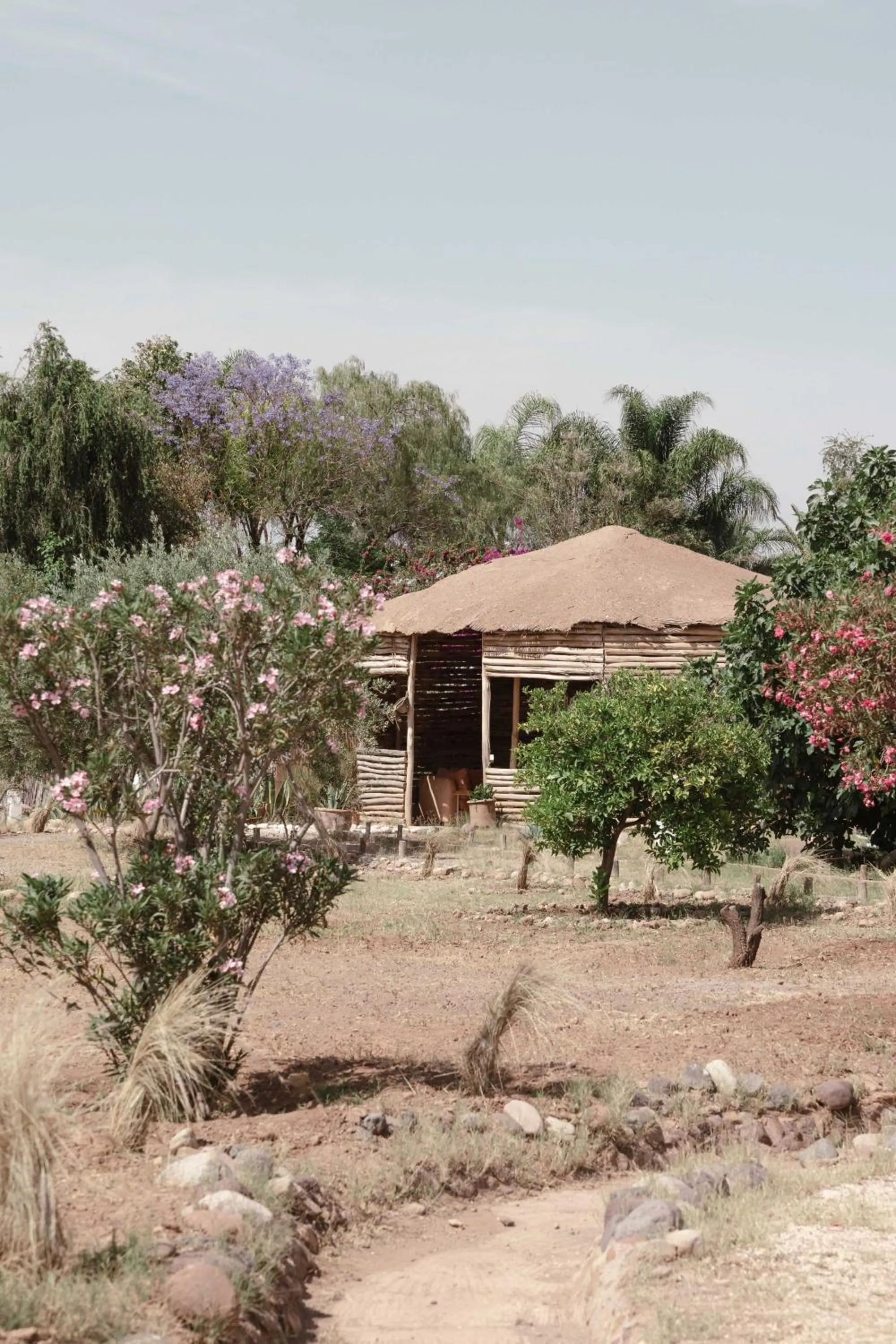 Jnan Lotf Marrakech - Le Jardin de la Bienveillance