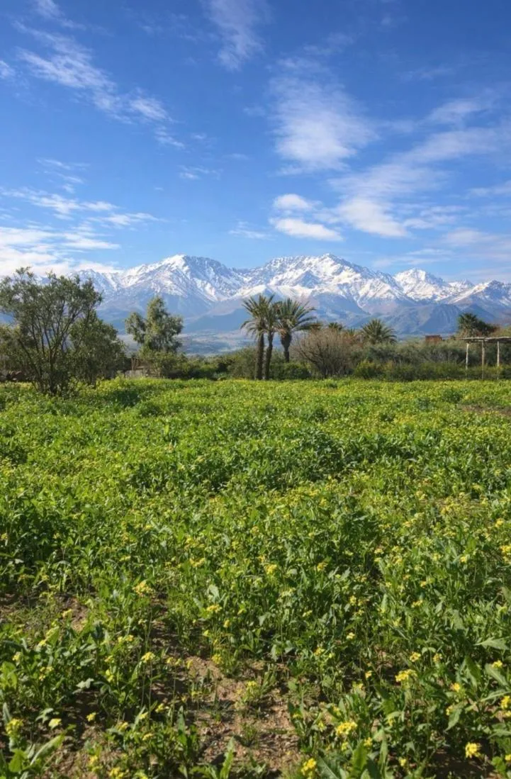 Jnan Lotf Marrakech - Le Jardin de la Bienveillance