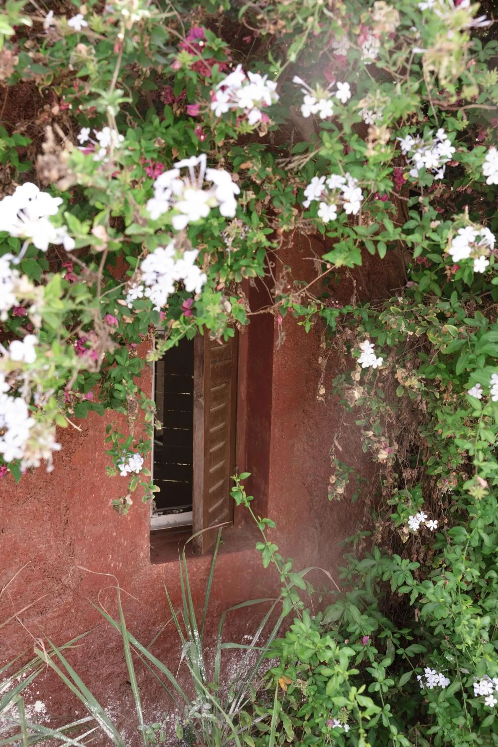 Jnan Lotf Marrakech - Le Jardin de la Bienveillance