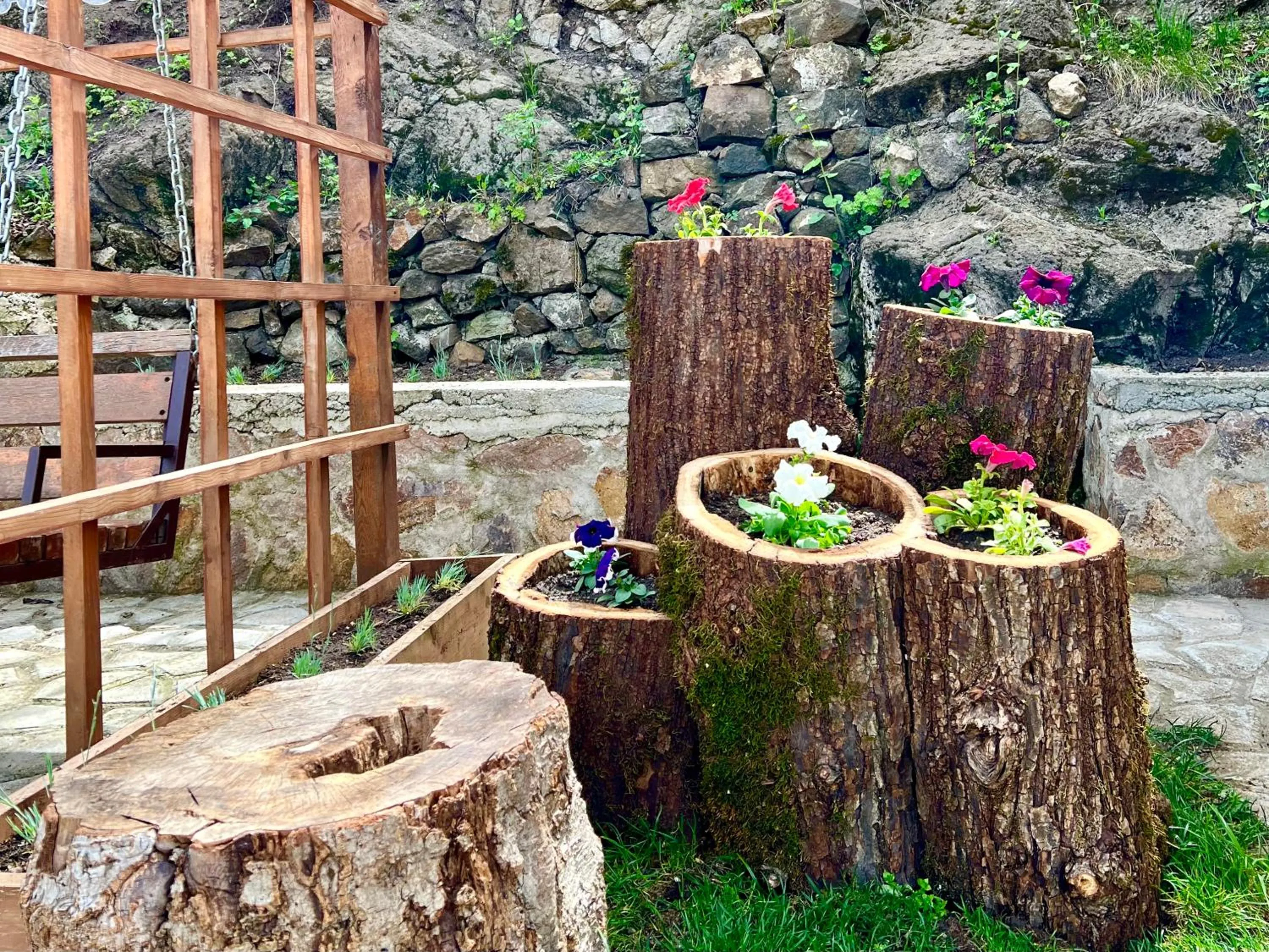 Garden in DiliVita Rest House