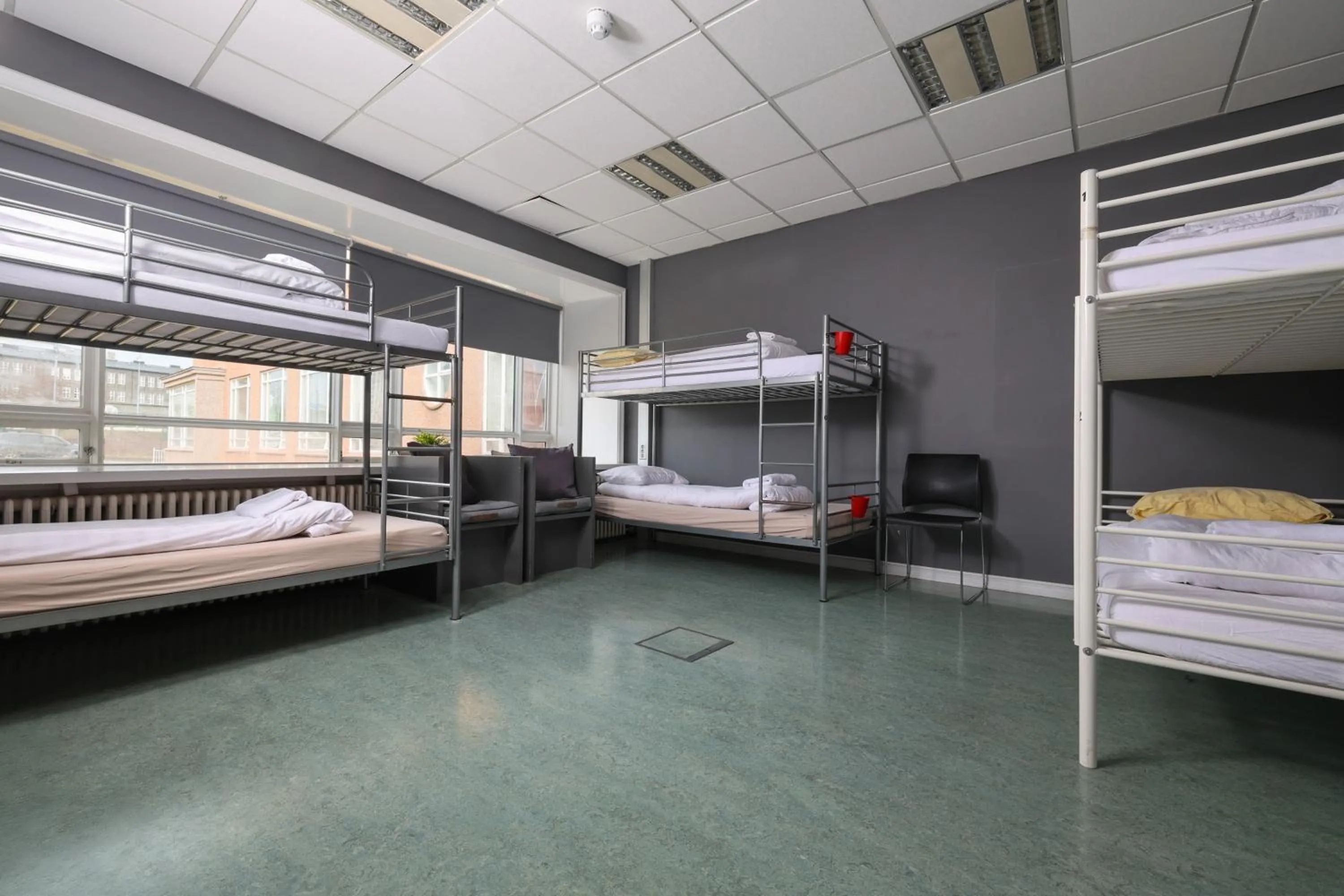 Photo of the whole room, Bed in Hostel B47