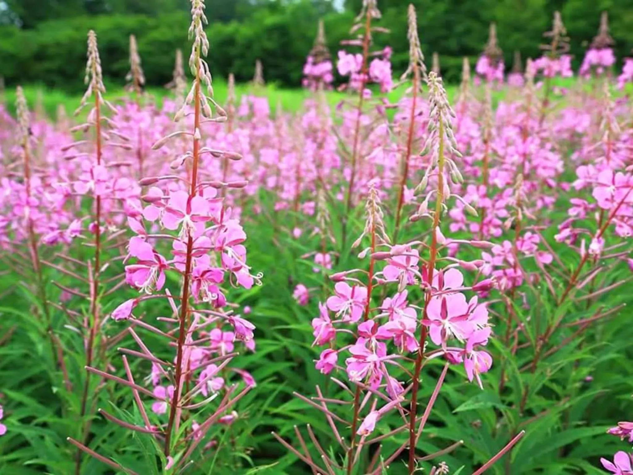 Oyado Fubuki - Vacation STAY 45516v