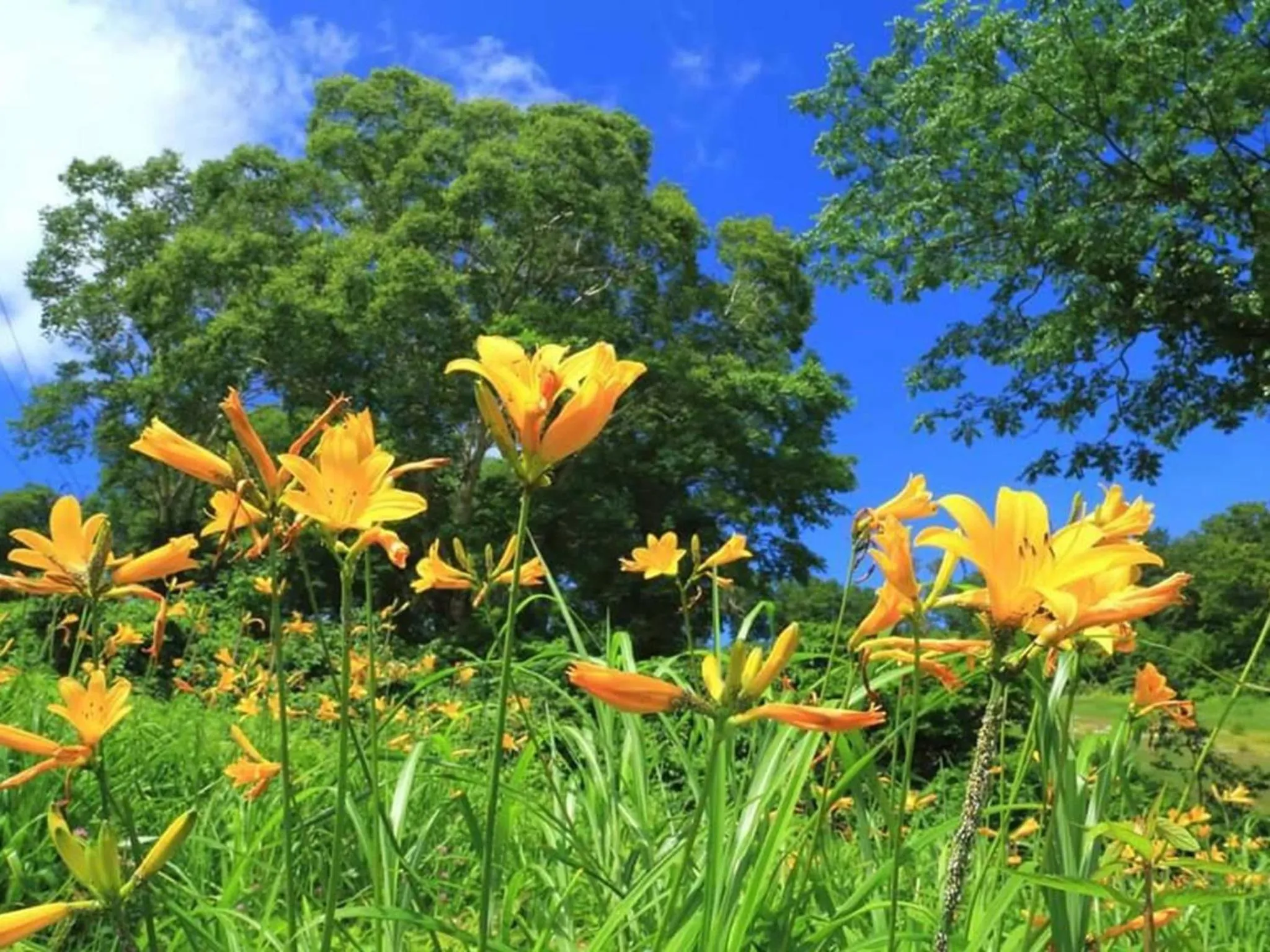 Oyado Fubuki - Vacation STAY 45506v