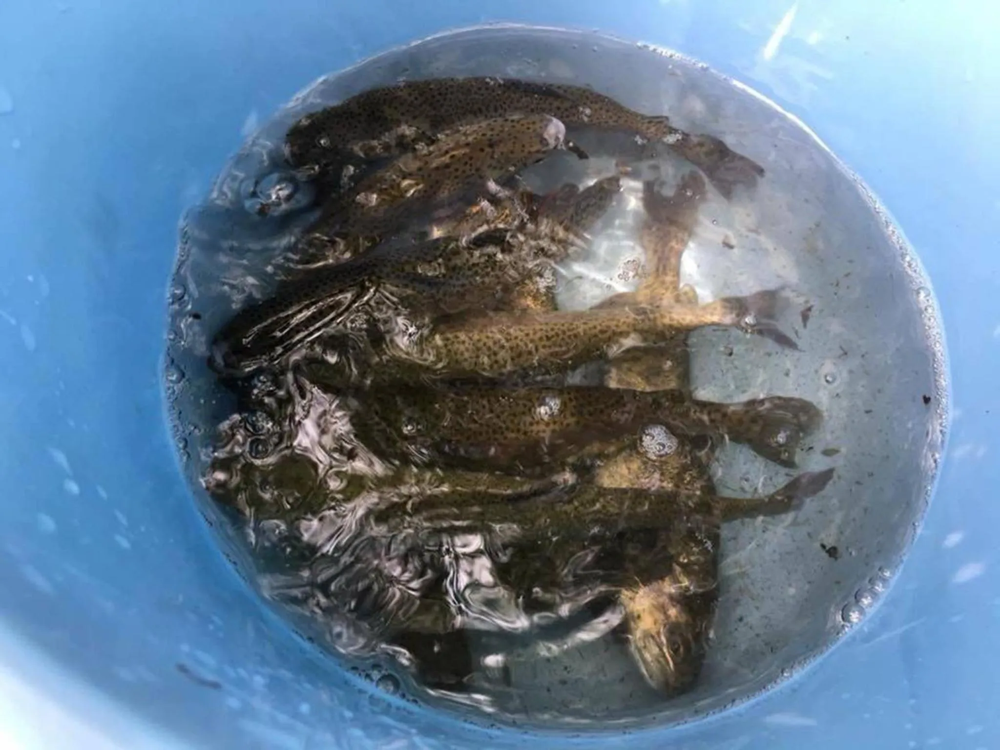 Oyado Fubuki - Vacation STAY 45506v