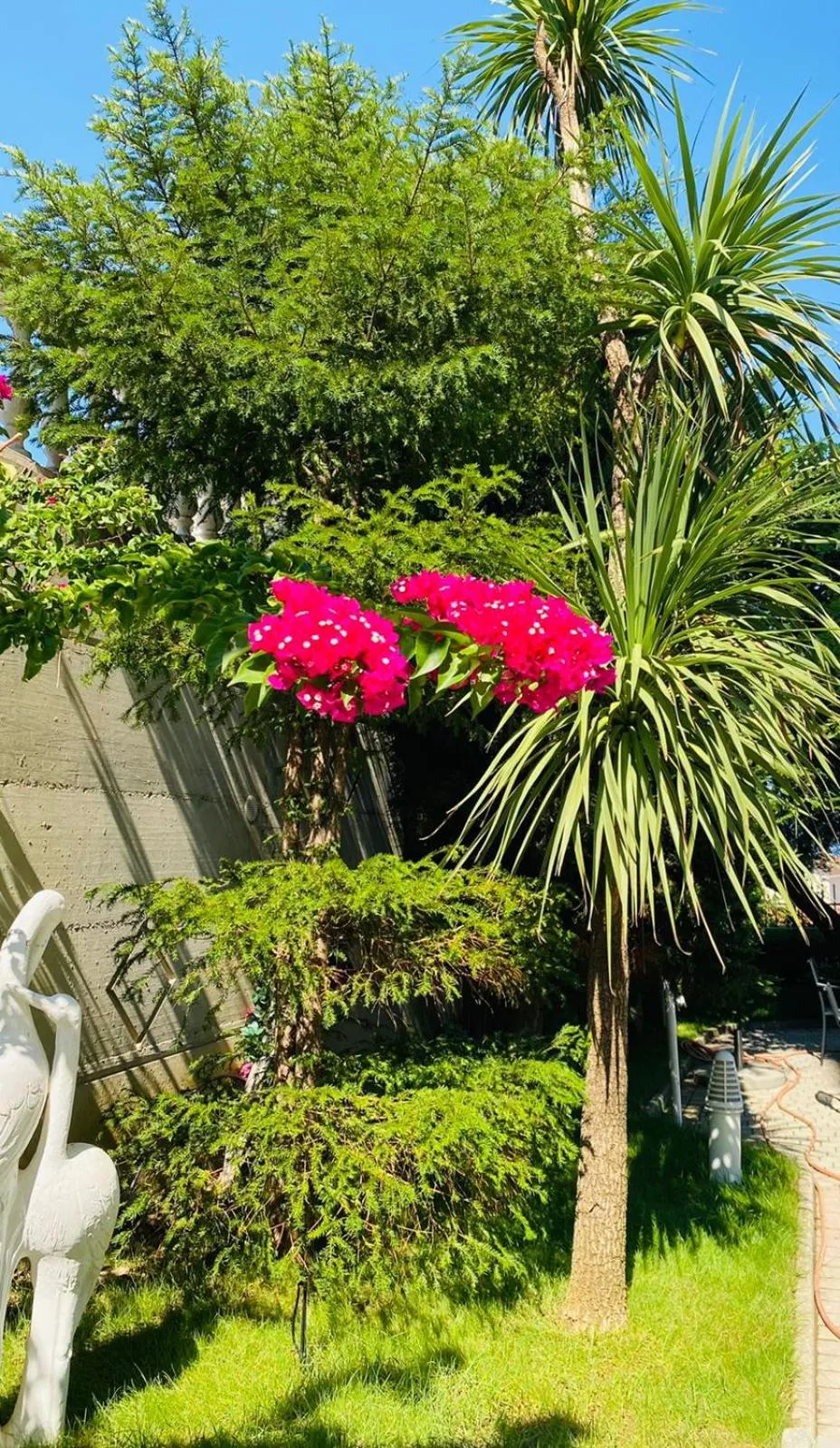 Day in Hotel SUNSET GL