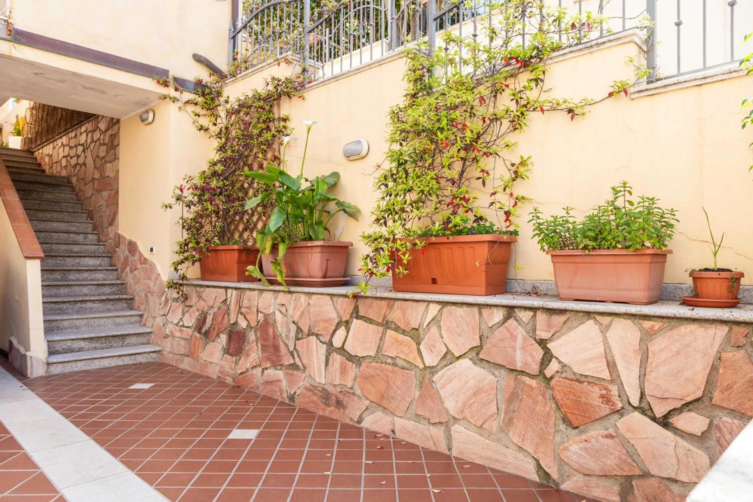 Garden in B&B Calamoresca