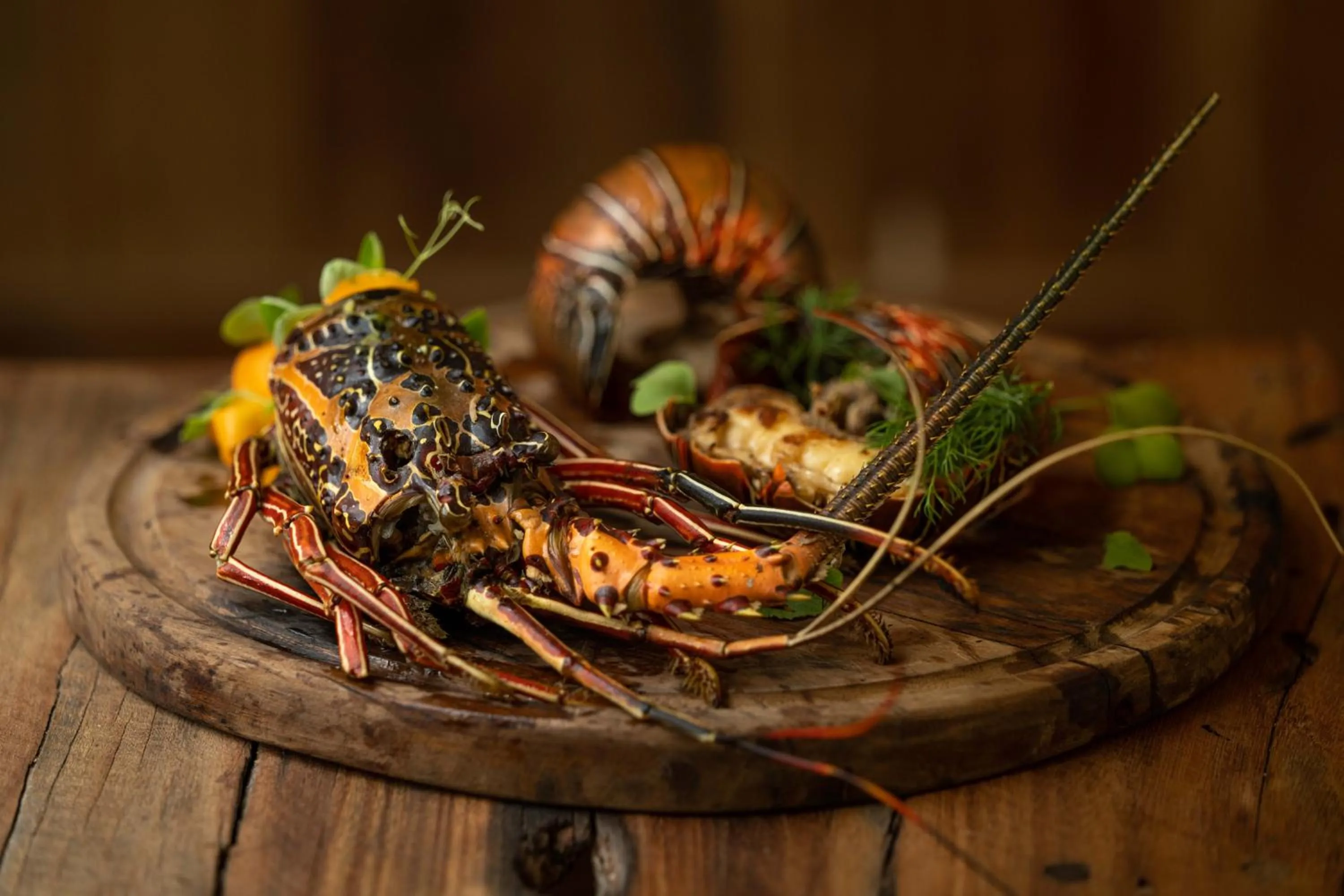 Restaurant/places to eat in The One Resort Zanzibar