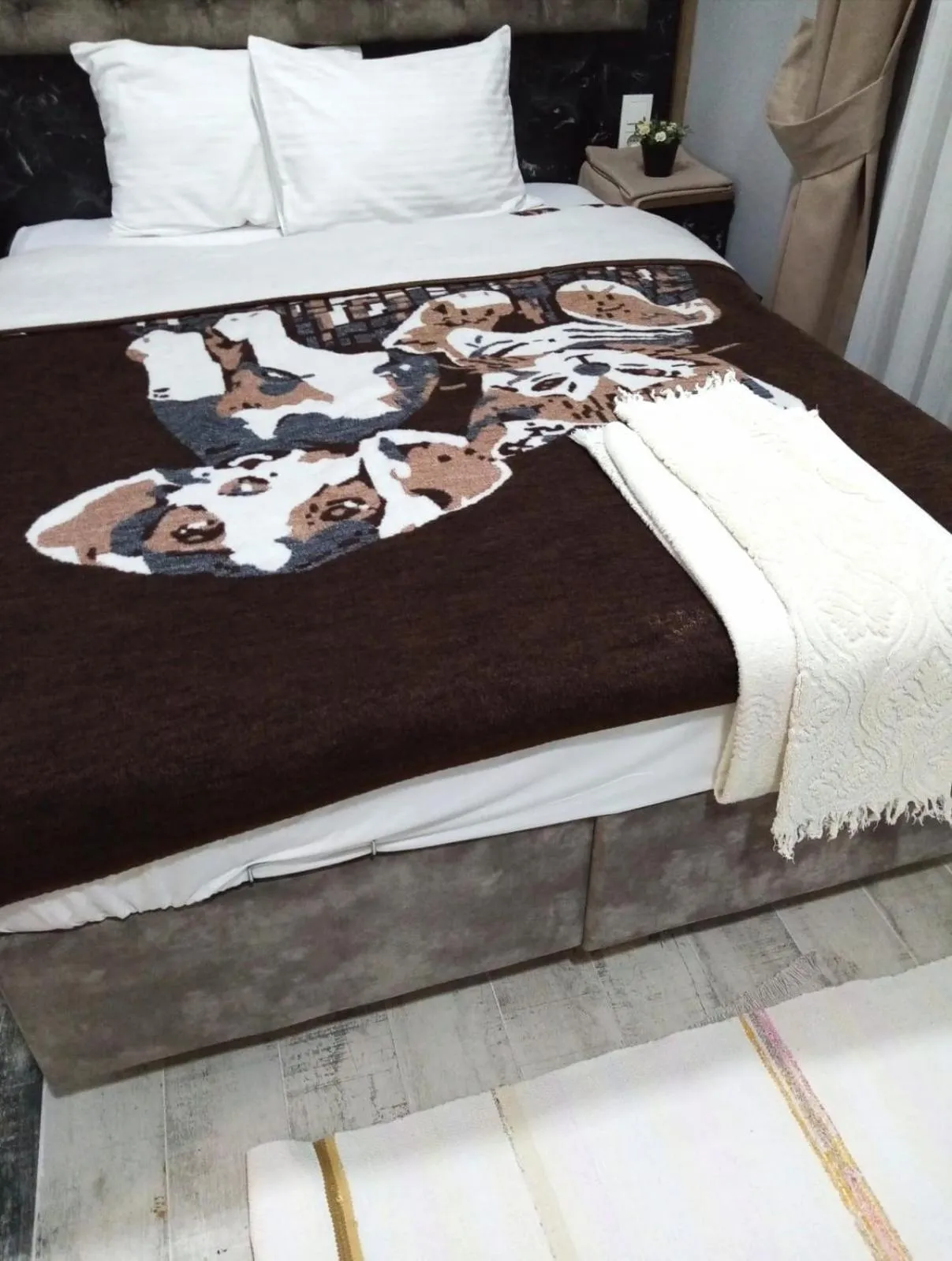 Bed in sultanahmet musıc house