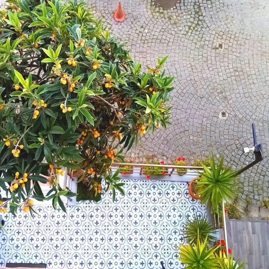 Garden in sultanahmet musıc house