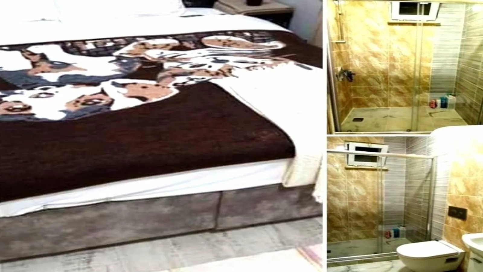 Photo of the whole room in sultanahmet musıc house