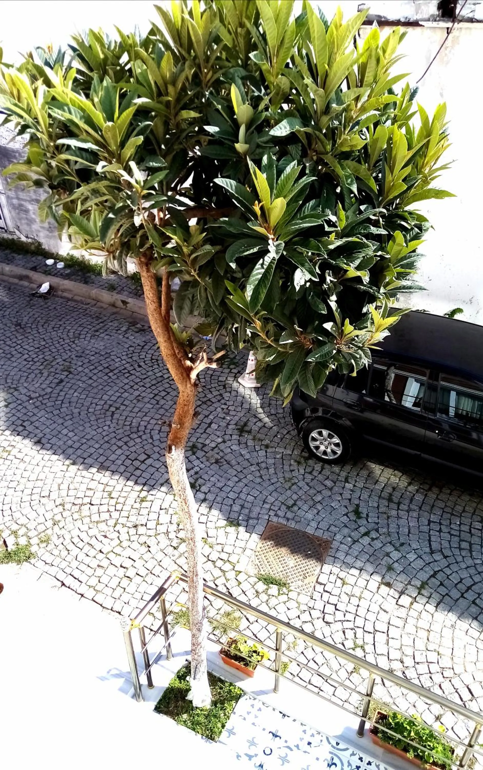 Spring in sultanahmet musıc house