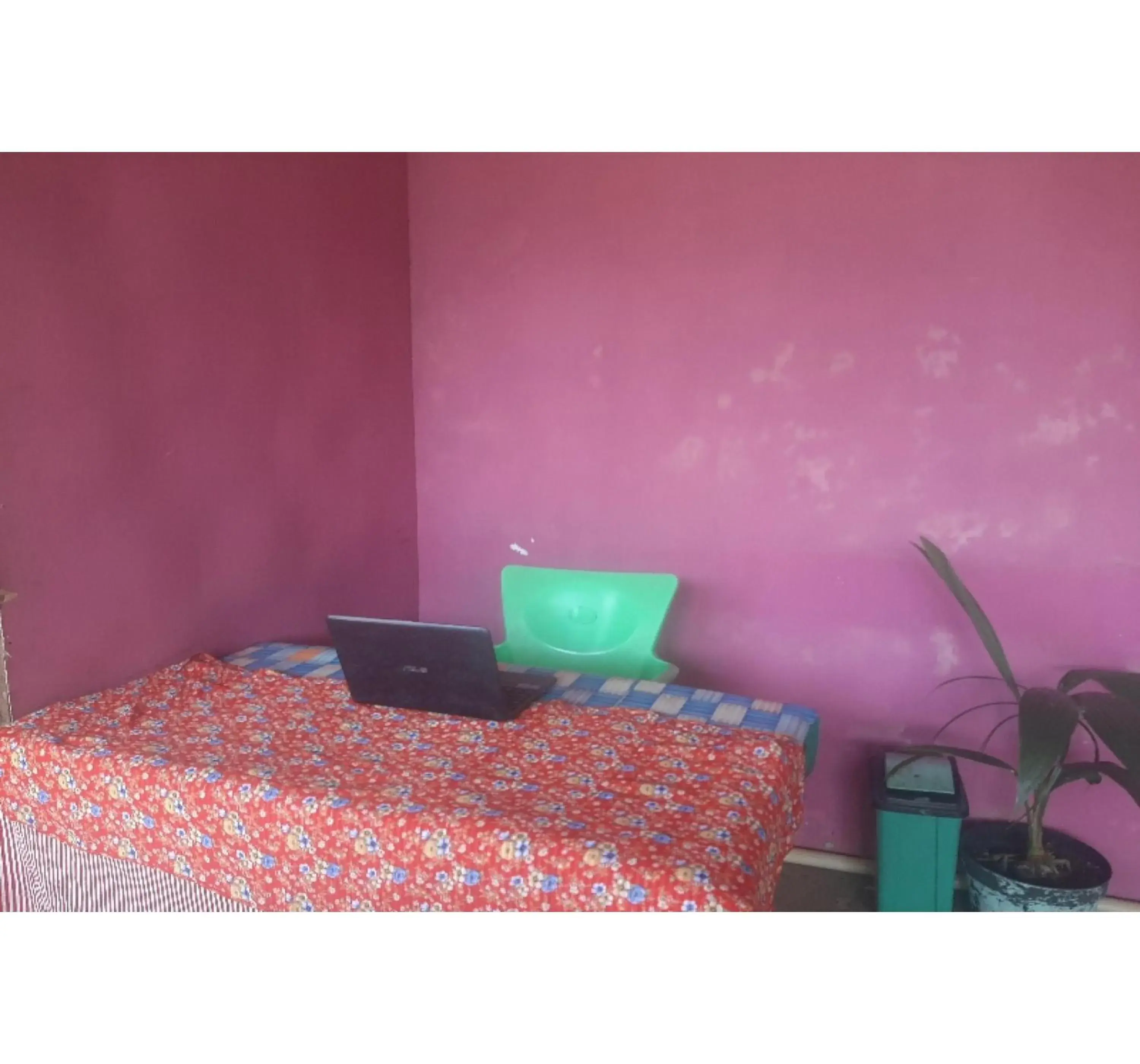 Lobby or reception, Bed in OYO 90555 Vina Pavilion Lobby or reception, Bed in OYO 90555 Vina Pavilion