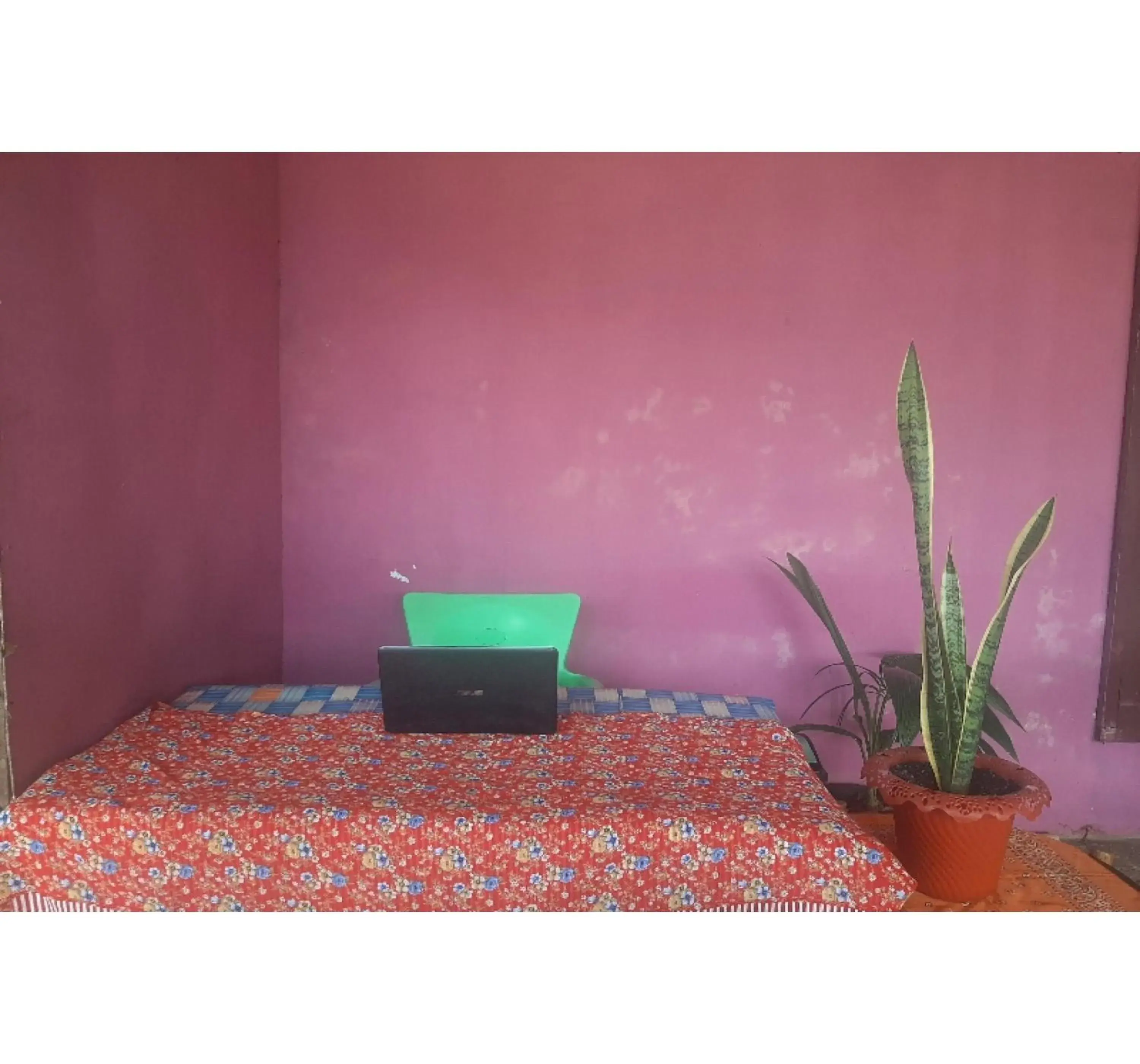 Lobby or reception, Bed in OYO 90555 Vina Pavilion Lobby or reception, Bed in OYO 90555 Vina Pavilion