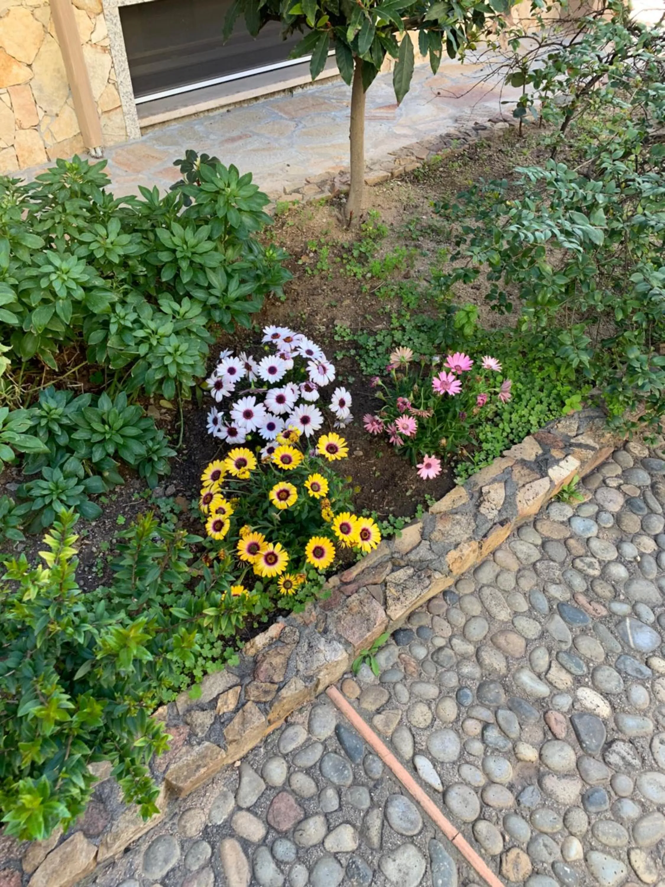 Garden in B&B Bentu de Mari