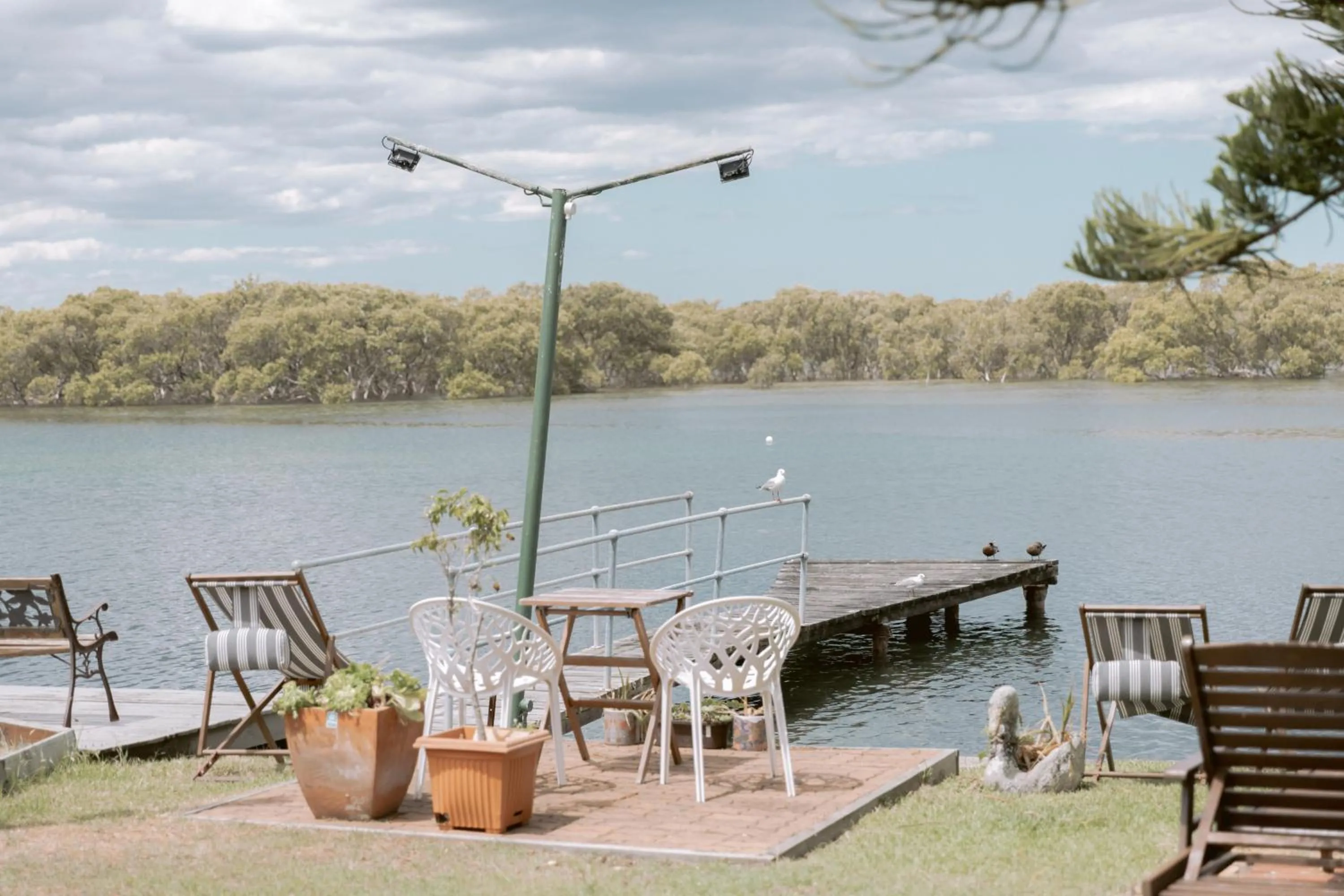 Black Swan Waterfront Motel