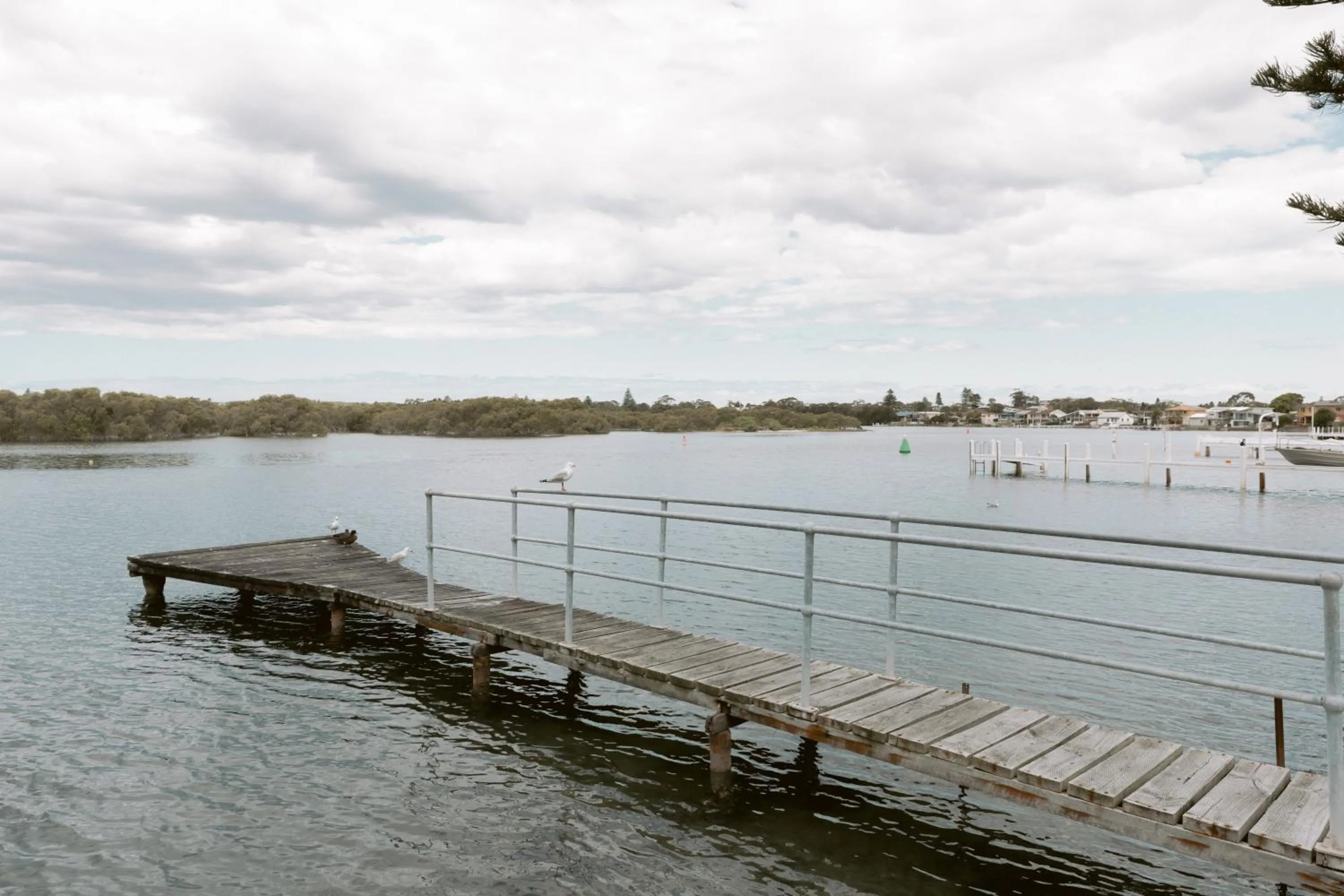 Black Swan Waterfront Motel