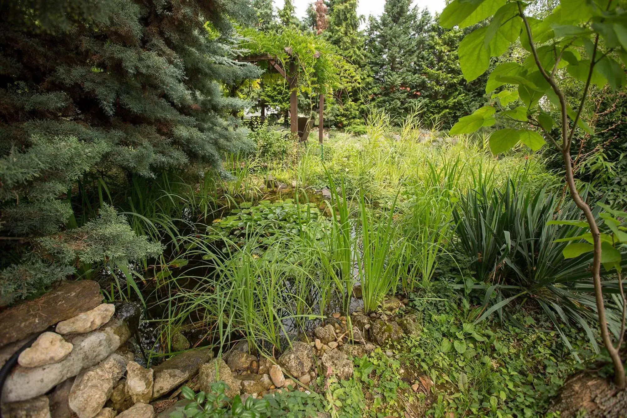 Spring, Garden in HELIOS Hotel Apartments