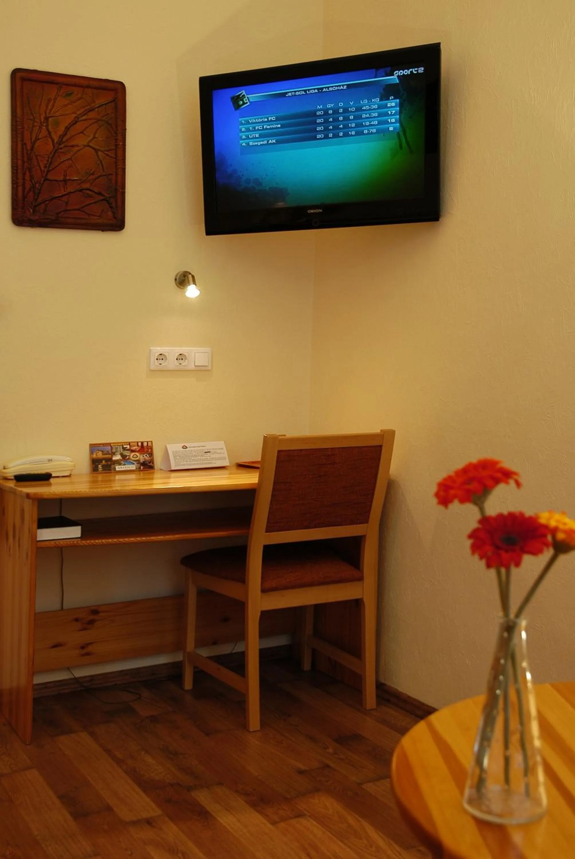 Photo of the whole room in Hotel Manzard Panzio