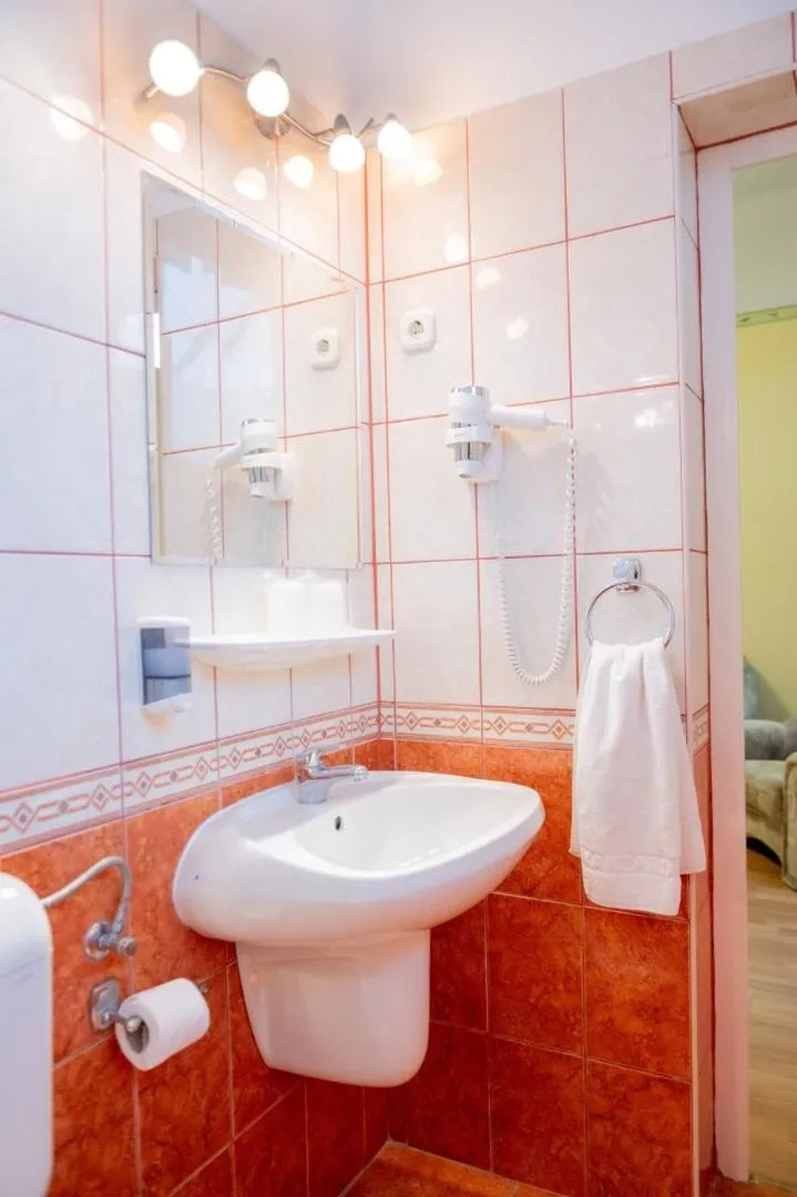 Shower in Hotel Manzard Panzio