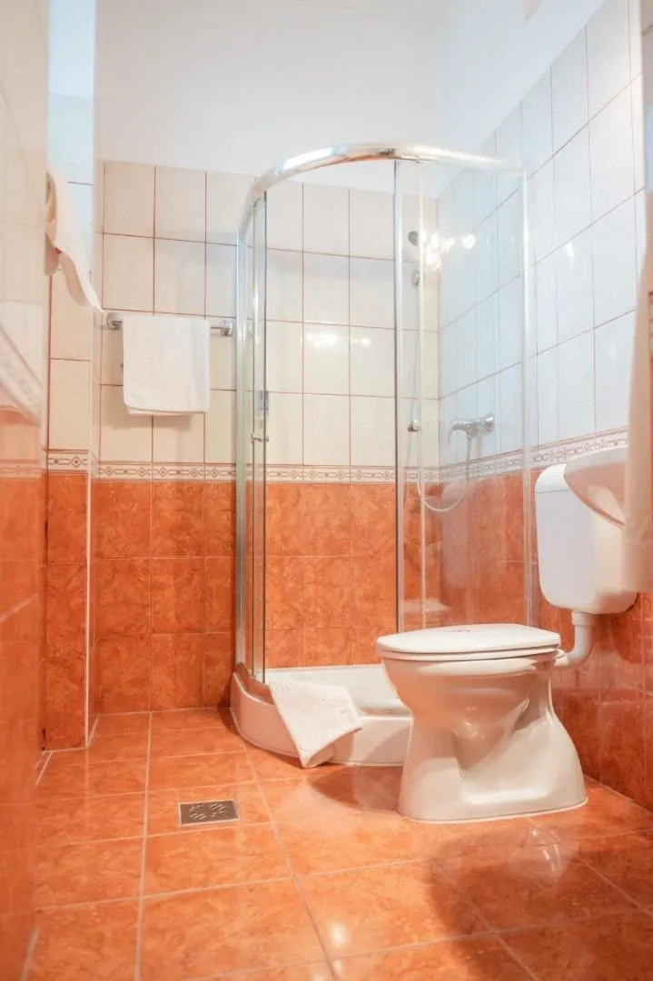 Shower in Hotel Manzard Panzio