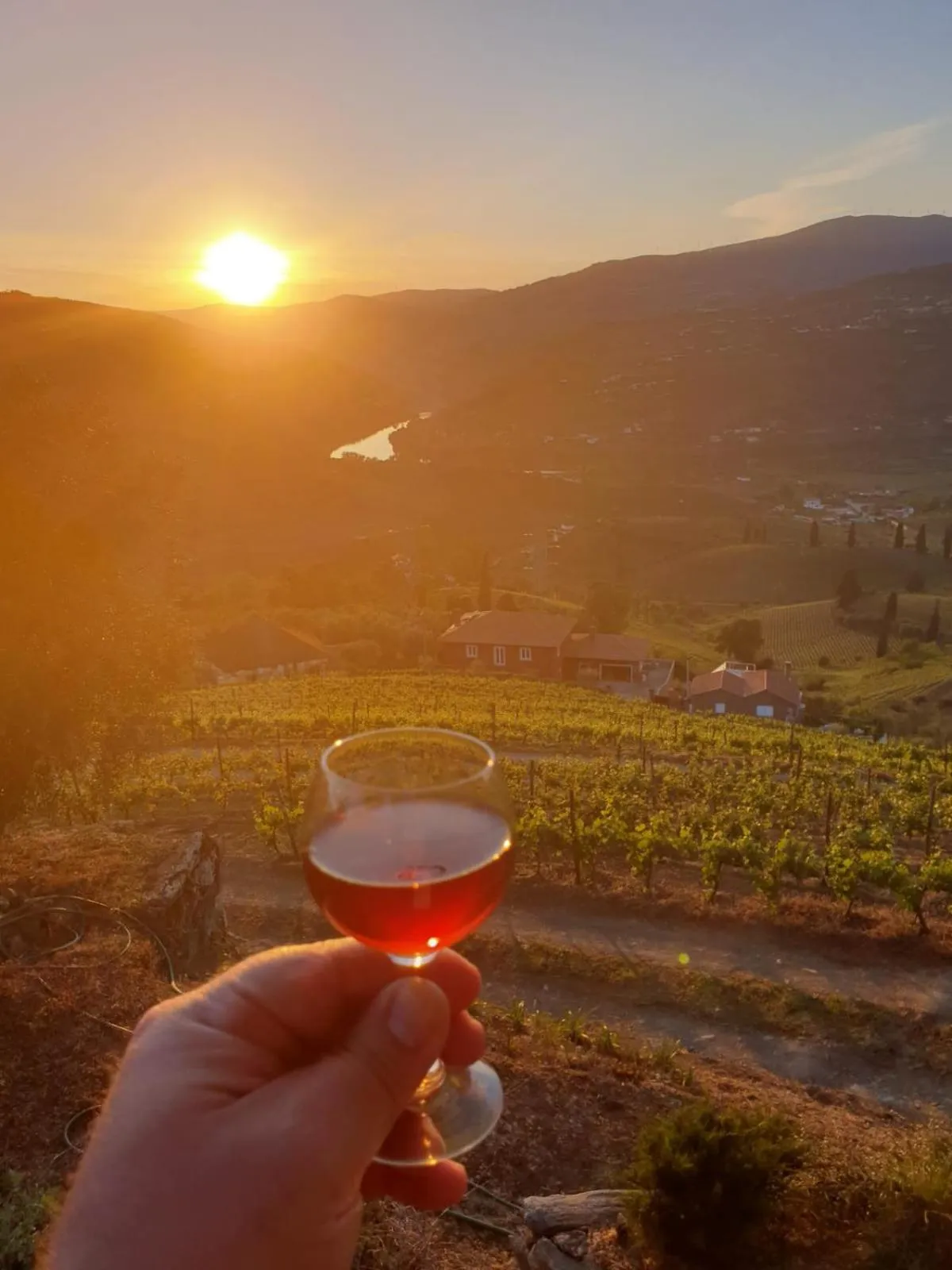 Natural landscape in Golden Mirror