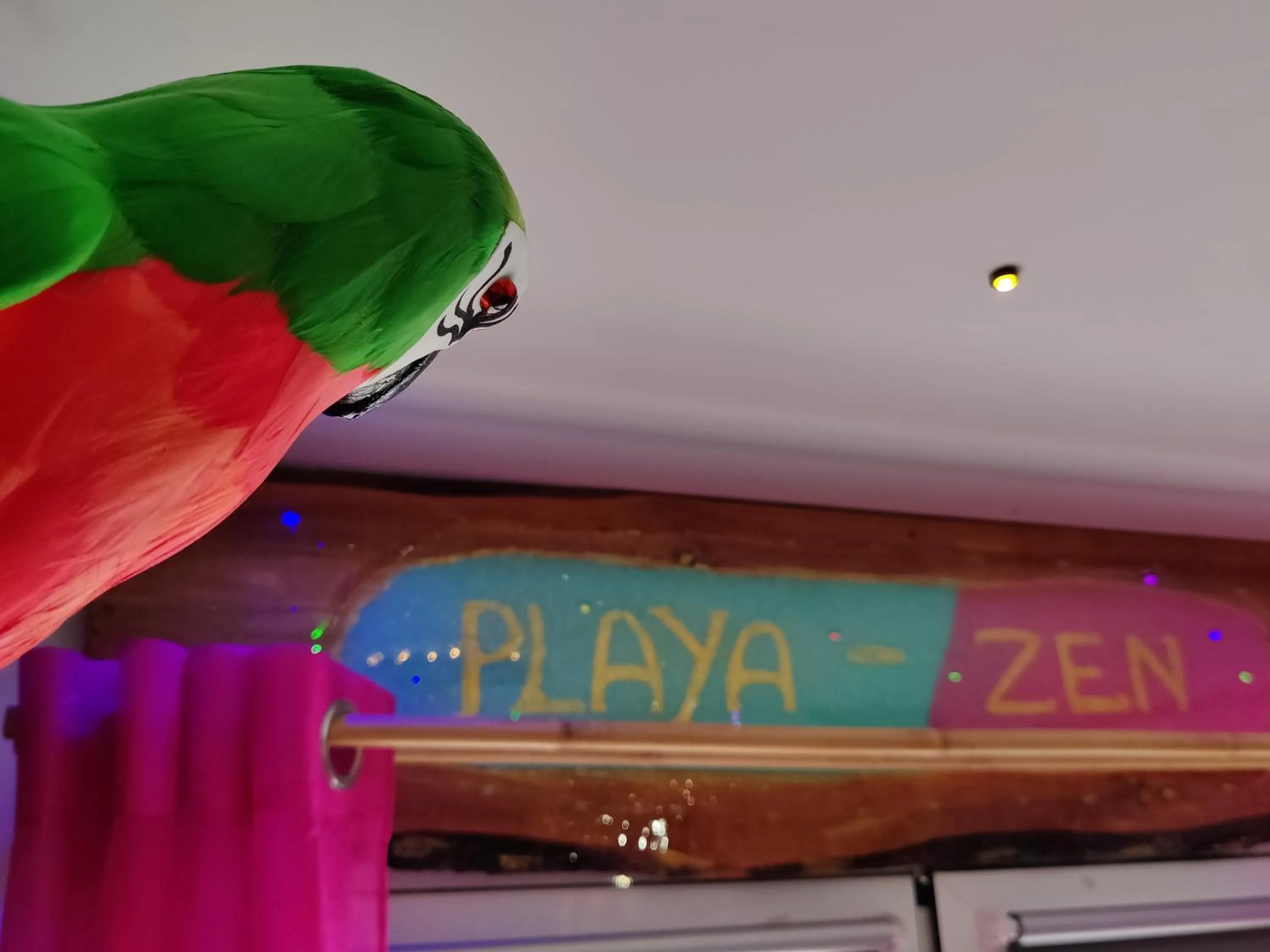 Other in Wonder Room Paraiso Magico Habitacion a 2 min de la playa