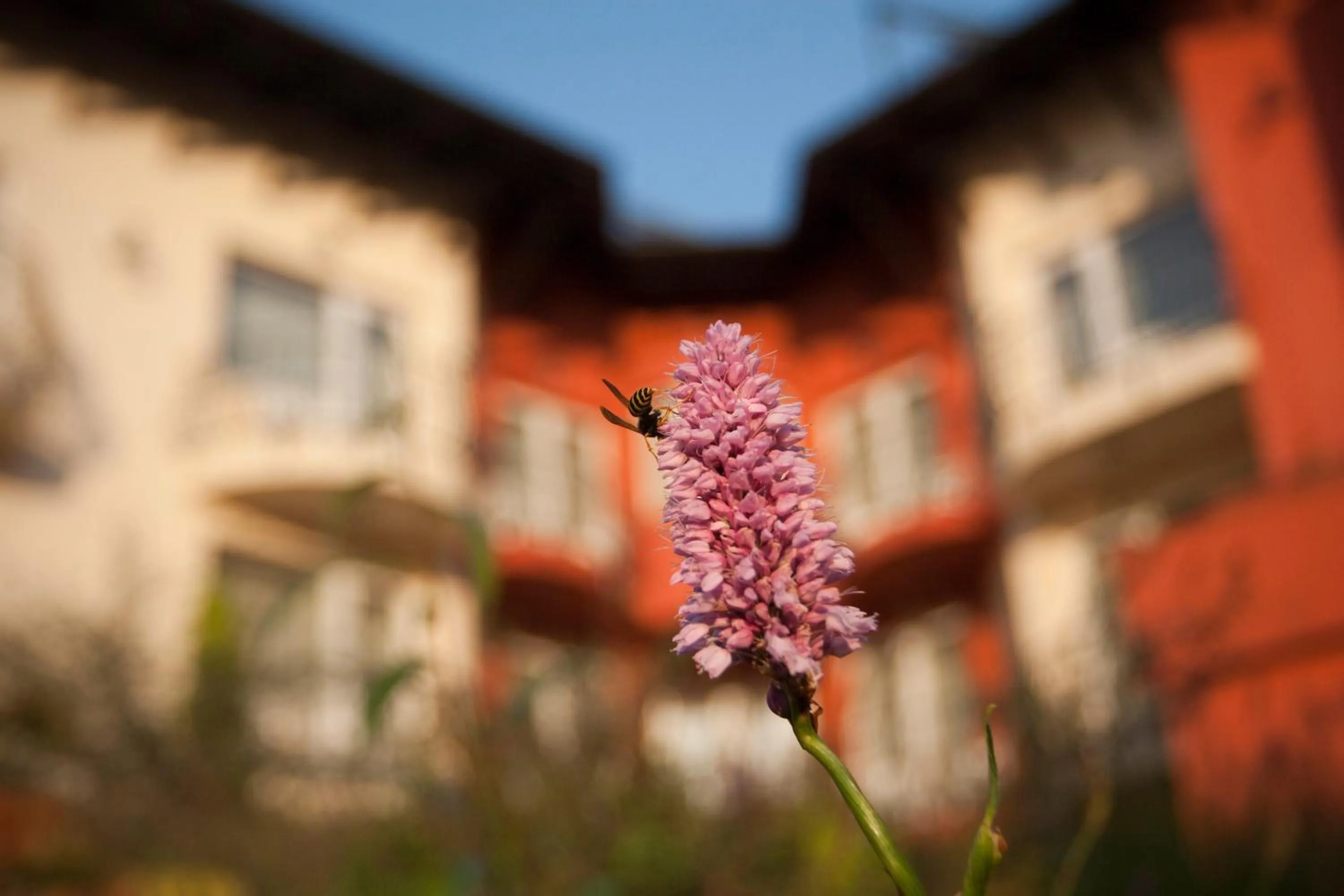 Decorative detail in Szőnyi Garden Hotel Pest