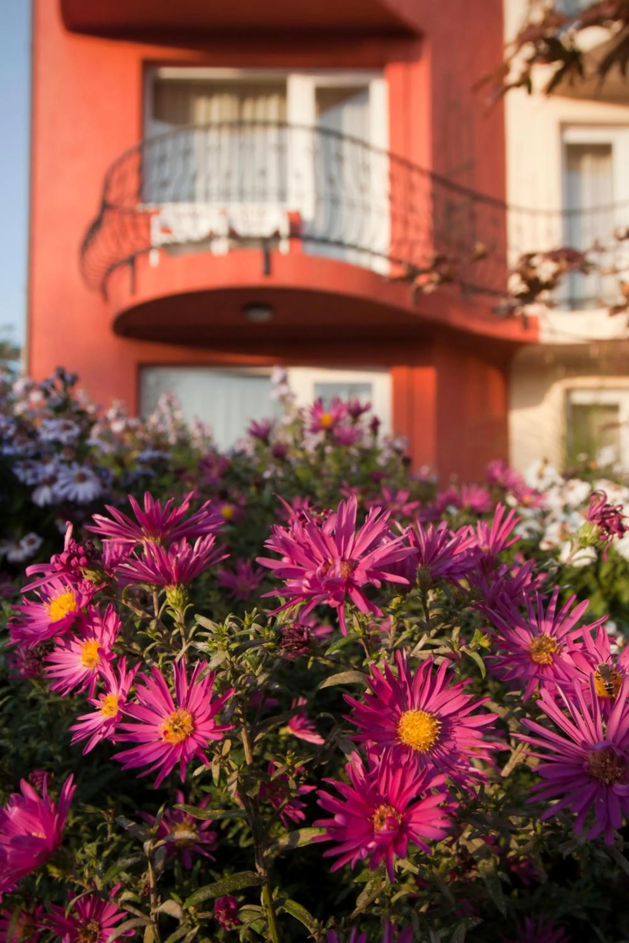 Summer in Szőnyi Garden Hotel Pest