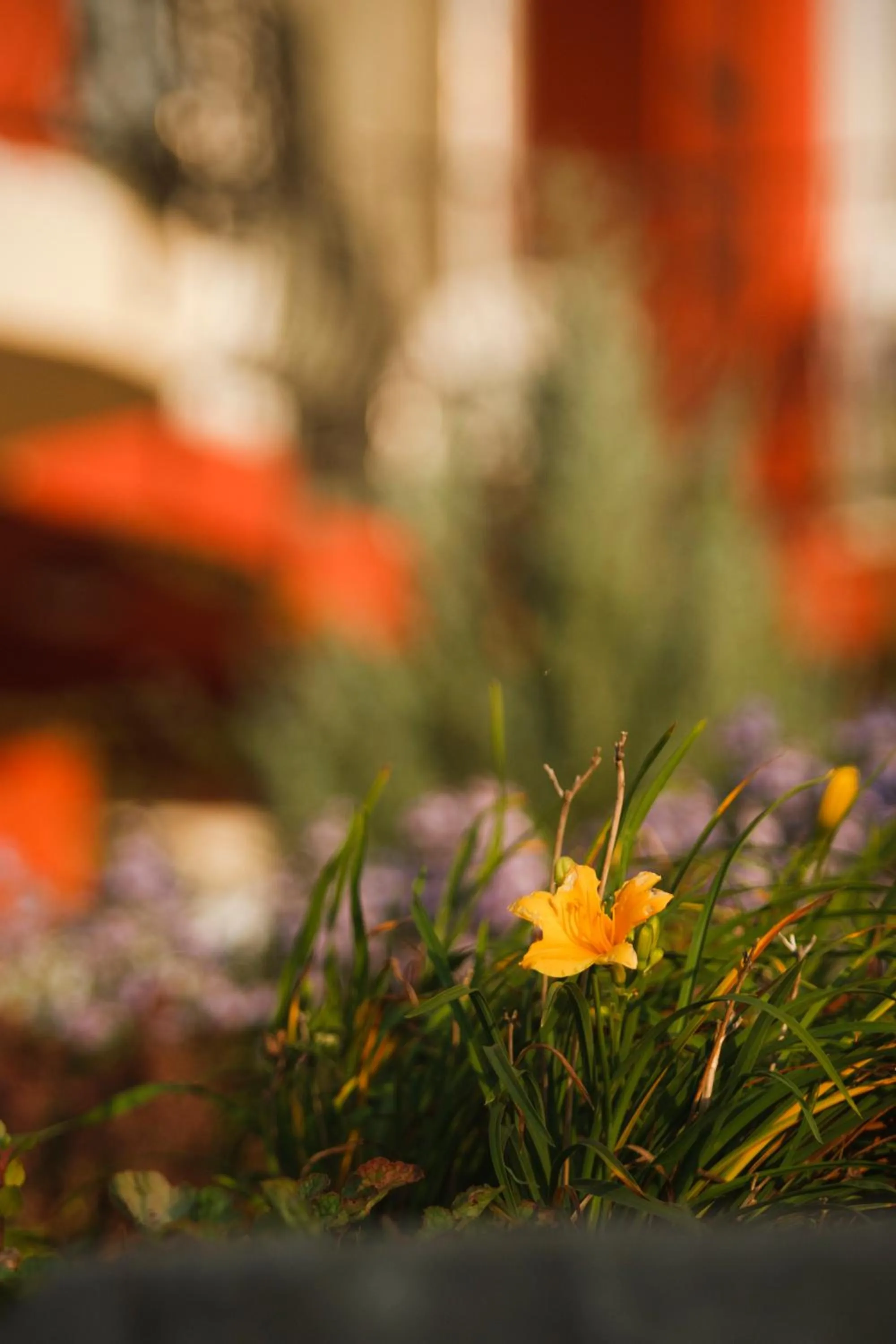 Decorative detail in Szőnyi Garden Hotel Pest