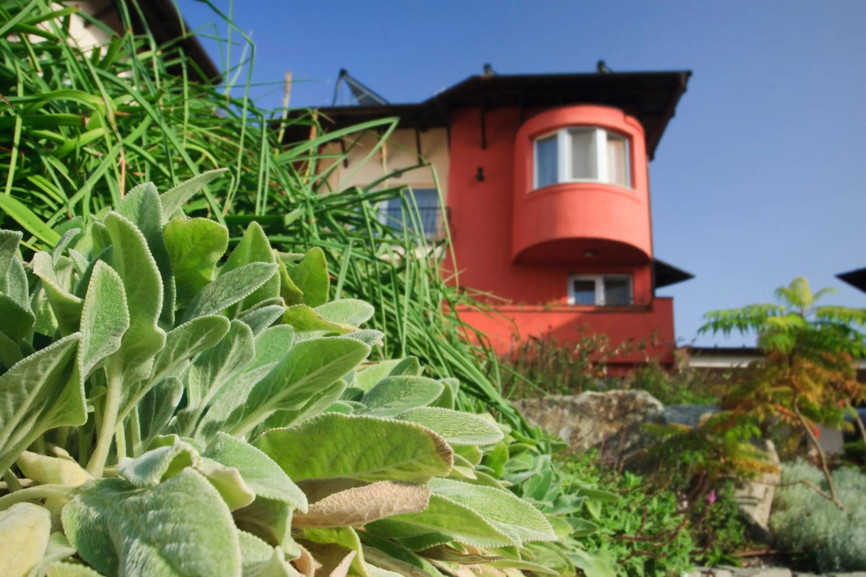 Property building in Szőnyi Garden Hotel Pest