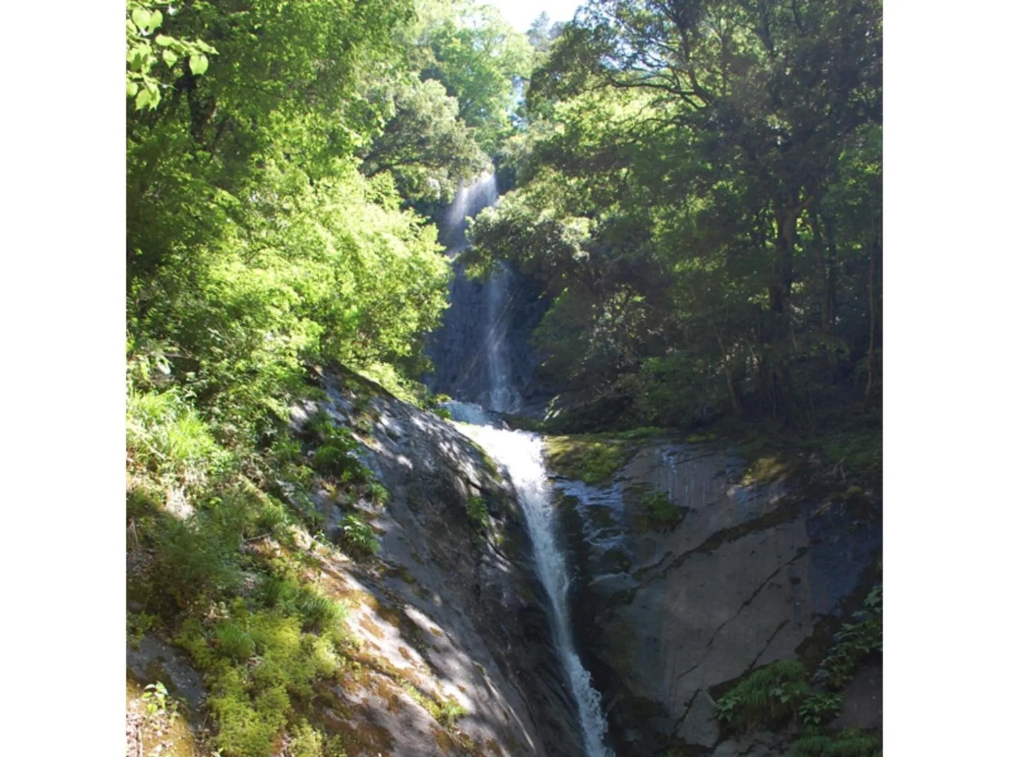 Pure Hotel - Vacation STAY 44183v