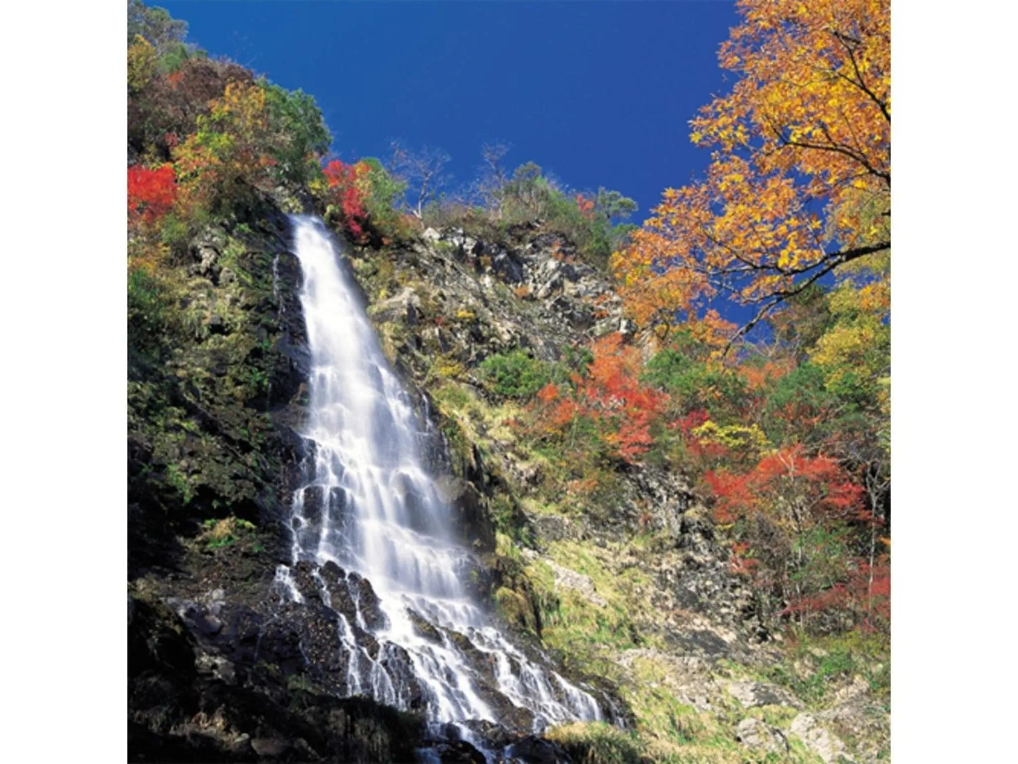 Pure Hotel - Vacation STAY 44183v